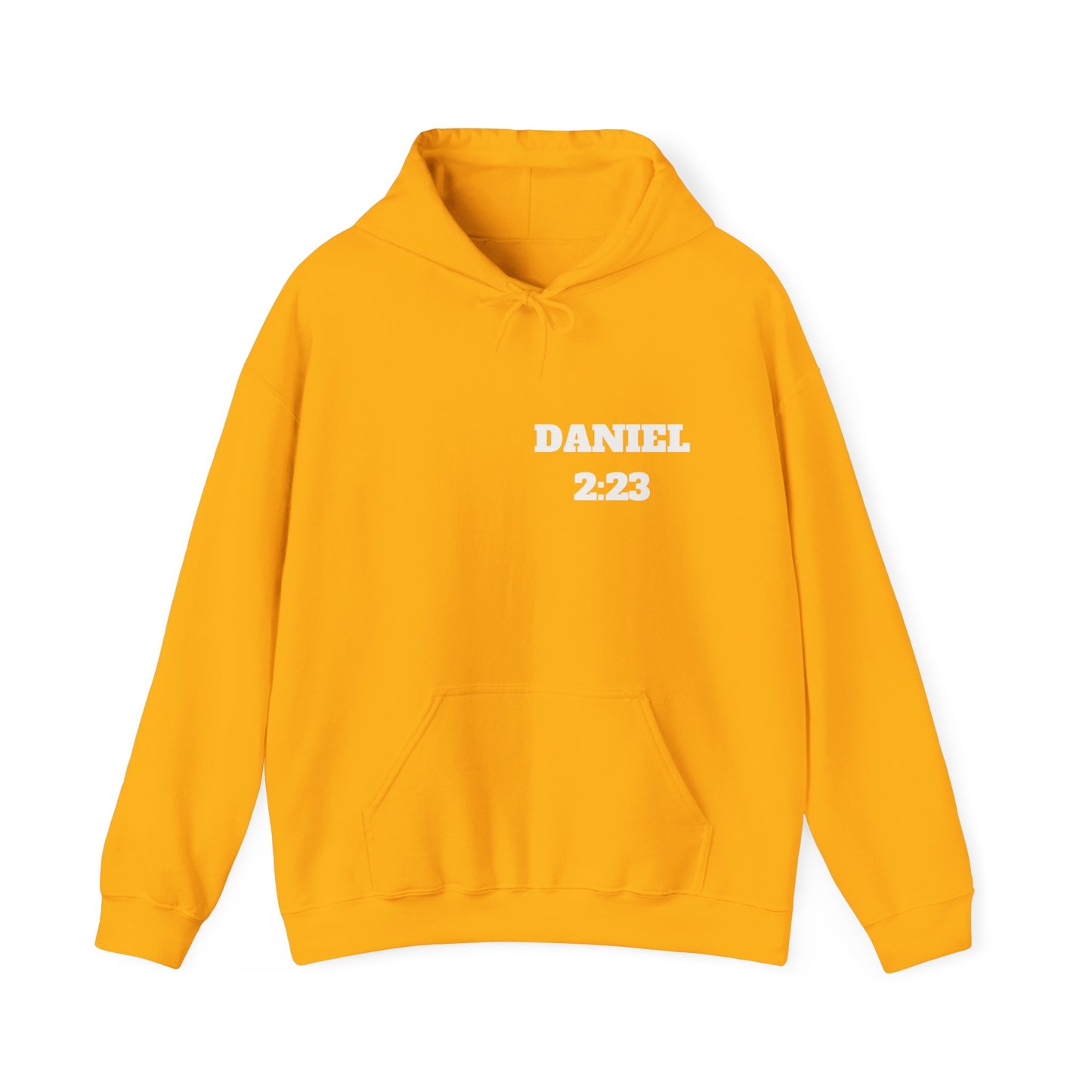 Daniel 2:23 Christian Hoodie, Christian Gifts, Christian Back To School Gifts, Trendy Christian Apparel