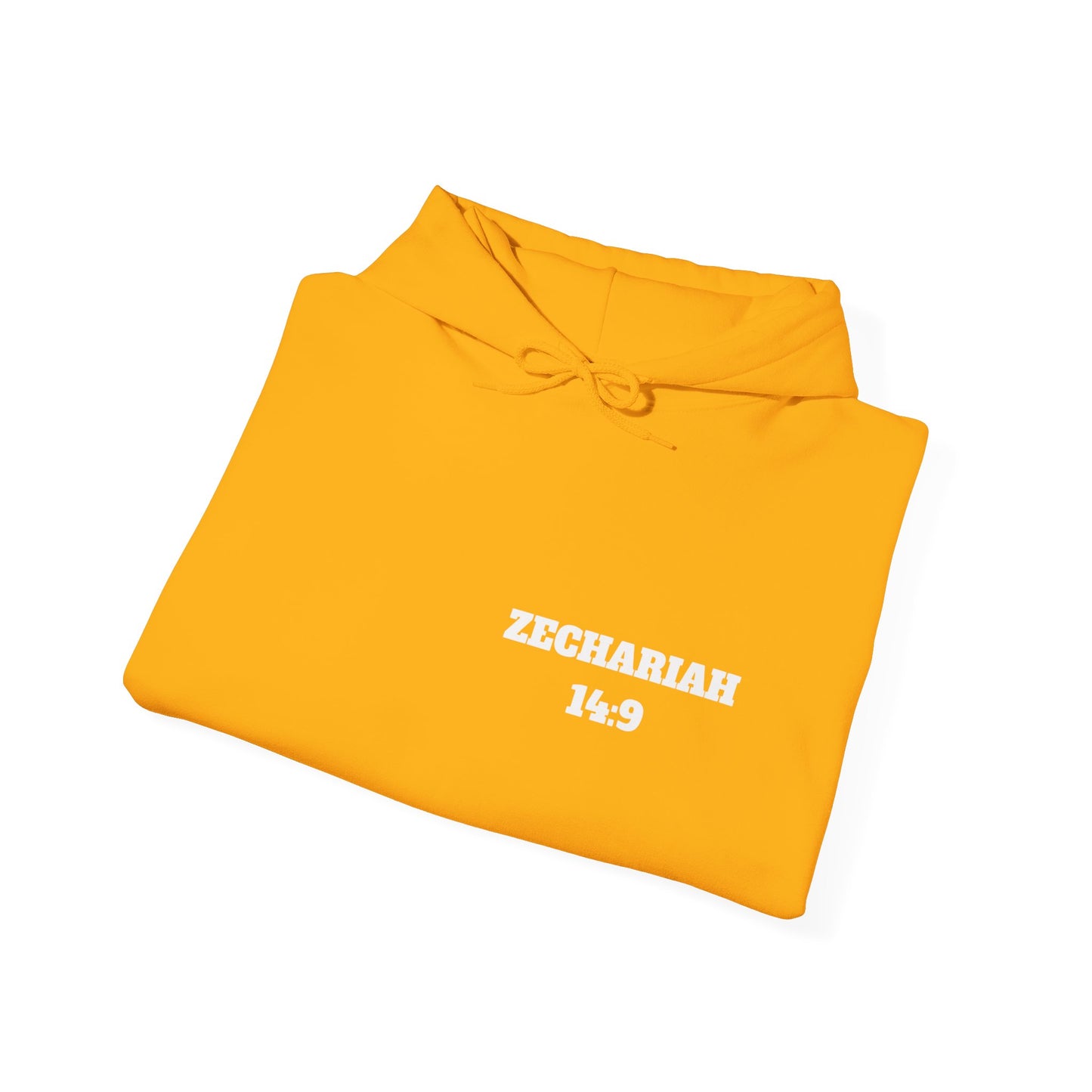 Zechariah 14:9 Christian Hoodie, Christian Gifts, Christian Back To School Gifts, Trendy Christian Apparel