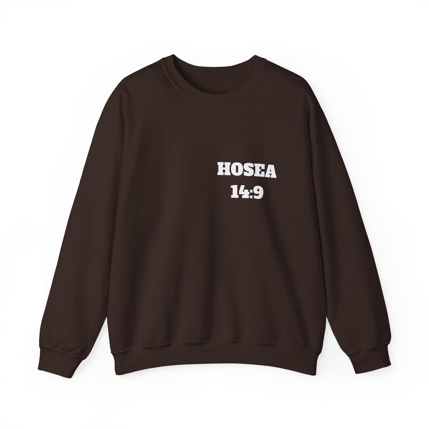 Hosea 14:9 Christian Sweatshirt, Christian Gifts, Christian Back To School Gifts, Church Outfits
