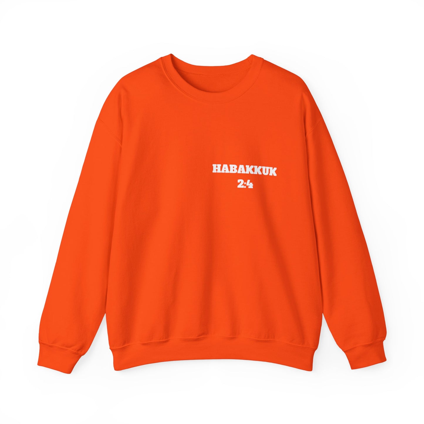Habakkuk 2:4 Christian Sweatshirt, Christian Gifts, Christian Back To School Gifts, Church Outfits