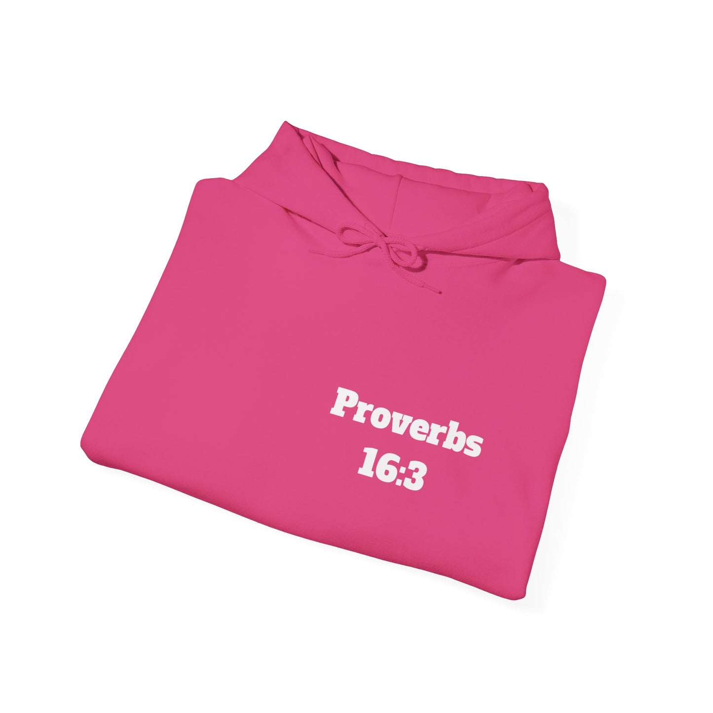 Proverbs 16:3 Christian Hoodie, Christian Gifts, Christian Back To School Gifts, Trendy Christian Apparel
