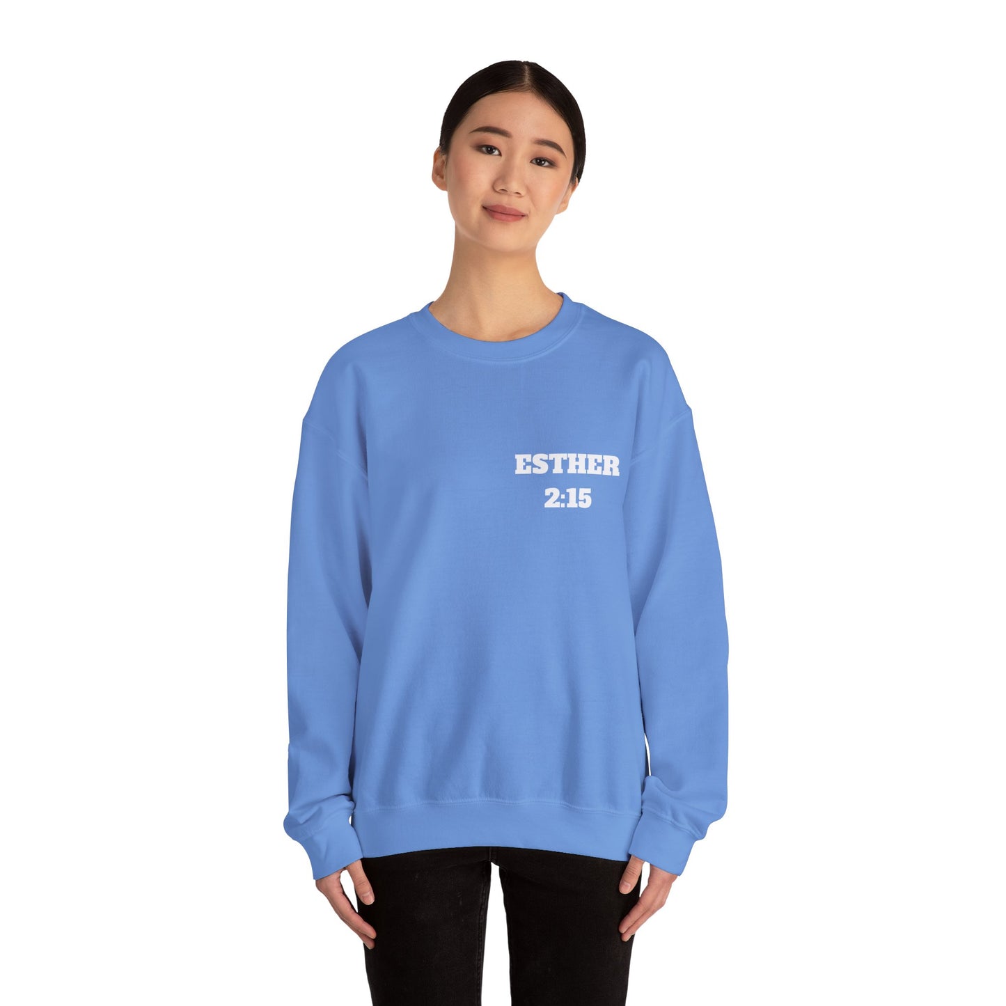 Esther 2:15 Christian Sweatshirt, Christian Gifts, Christian Back To School Gifts, Church Outfits