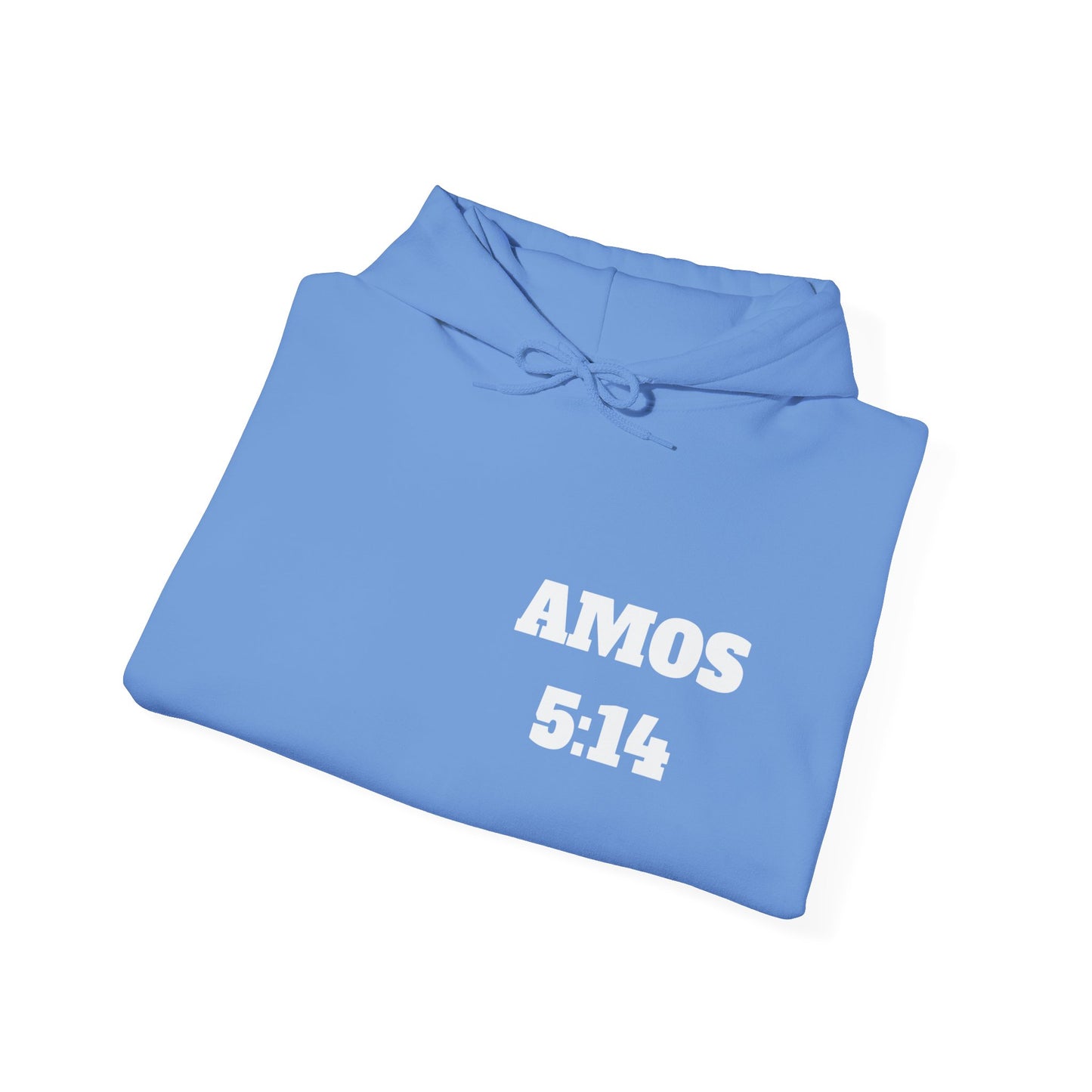 Amos 5:14 Christian T-Shirt, Christian Gifts, Christian Back To School Gifts, Trendy Christian Apparel