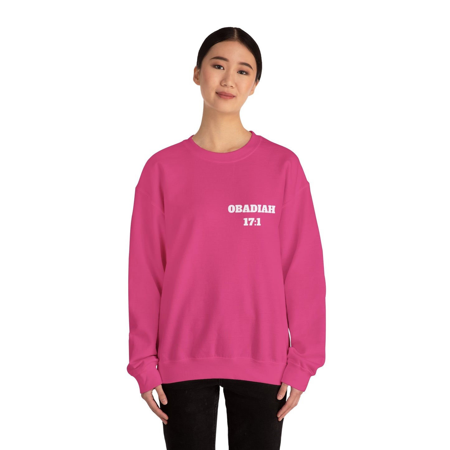 Obadiah 17:1 Christian Sweatshirt, Christian Gifts, Christian Back To School Gifts, Church Outfits