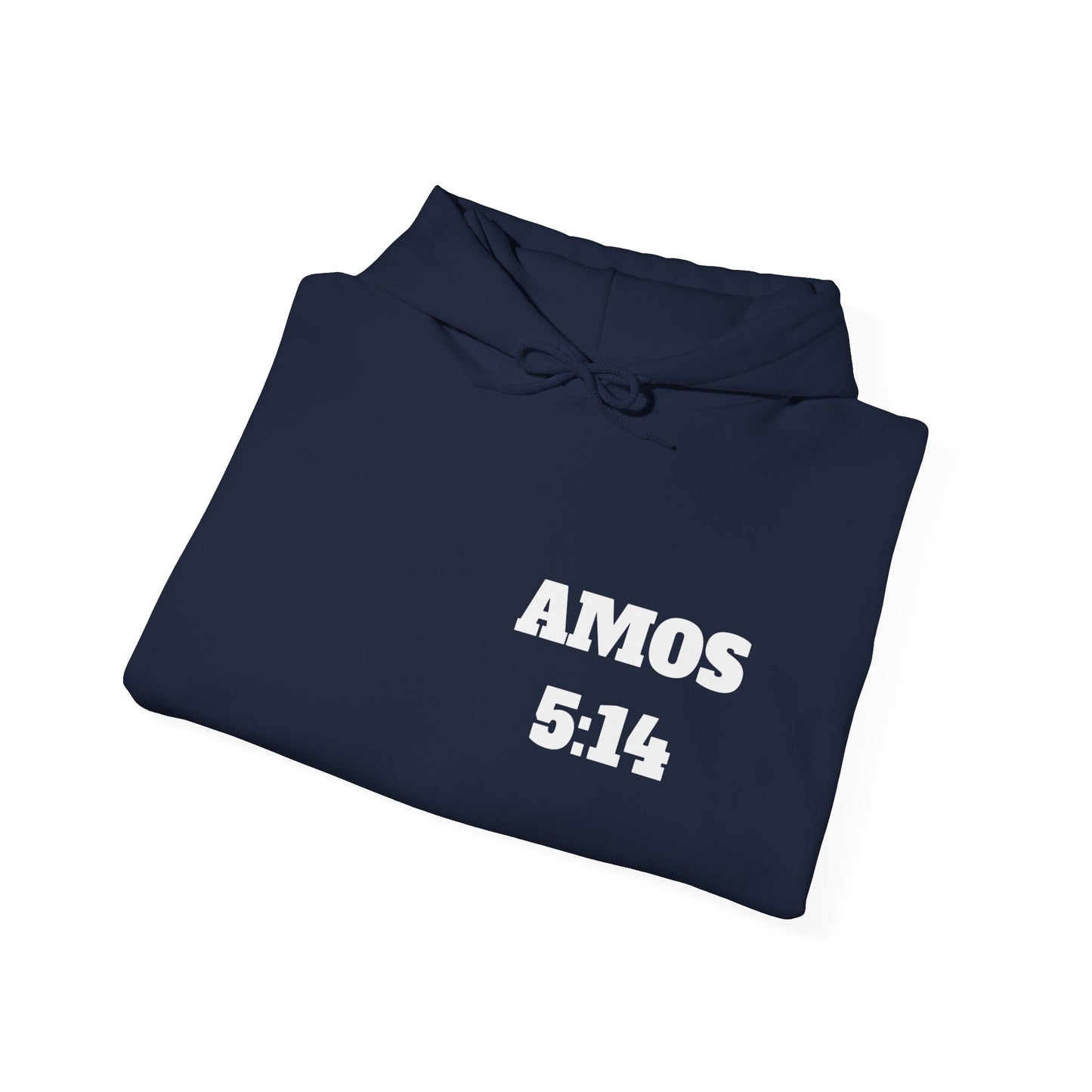 Amos 5:14 Christian T-Shirt, Christian Gifts, Christian Back To School Gifts, Trendy Christian Apparel