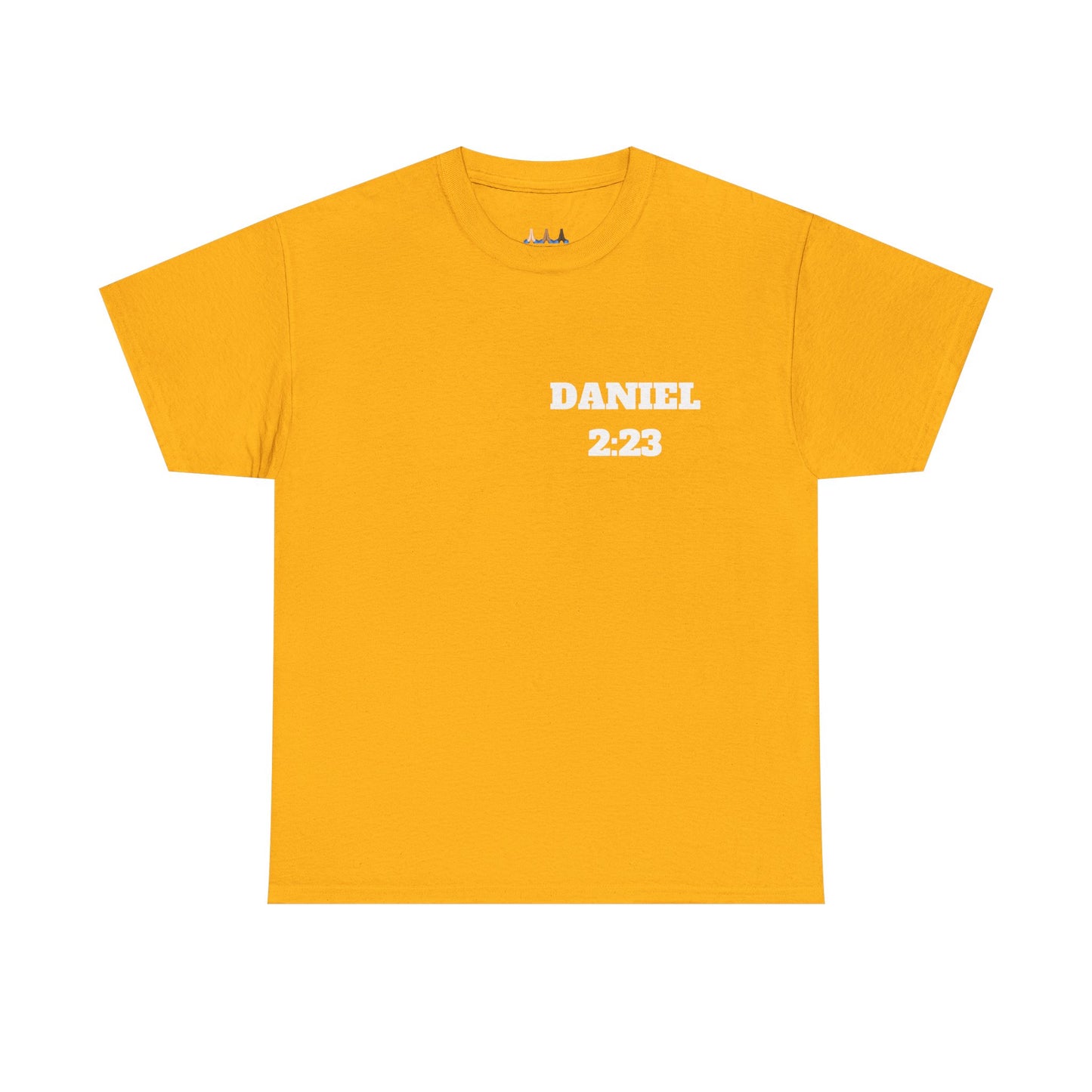 Daniel 2:23 Christian T-Shirt, Christian Gifts, Christian Back To School Gifts, Trendy Christian Apparel