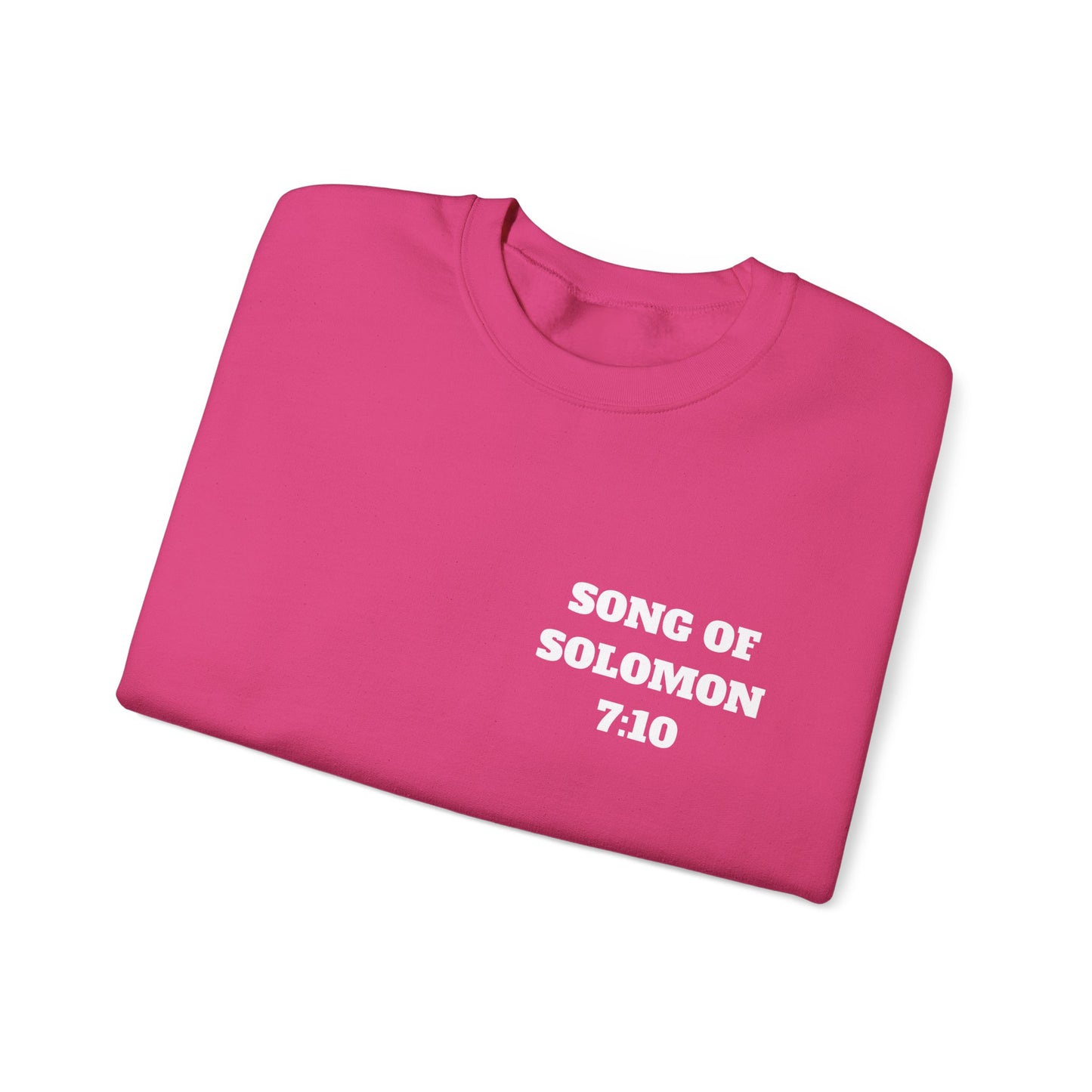 Song Of Solomon Christian Sweatshirt, Christian Gifts, Christian Back To School Gifts, Church Outfits