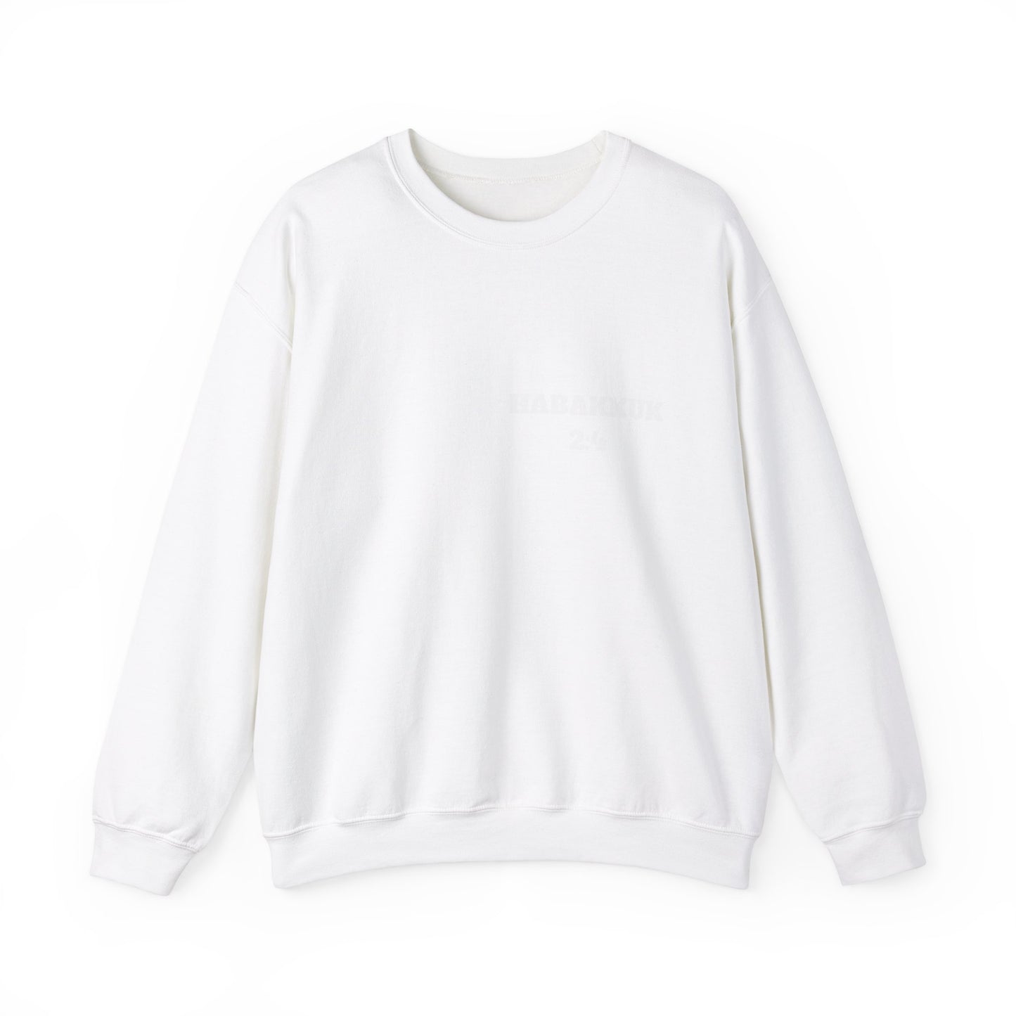 Habakkuk 2:4 Christian Sweatshirt, Christian Gifts, Christian Back To School Gifts, Church Outfits