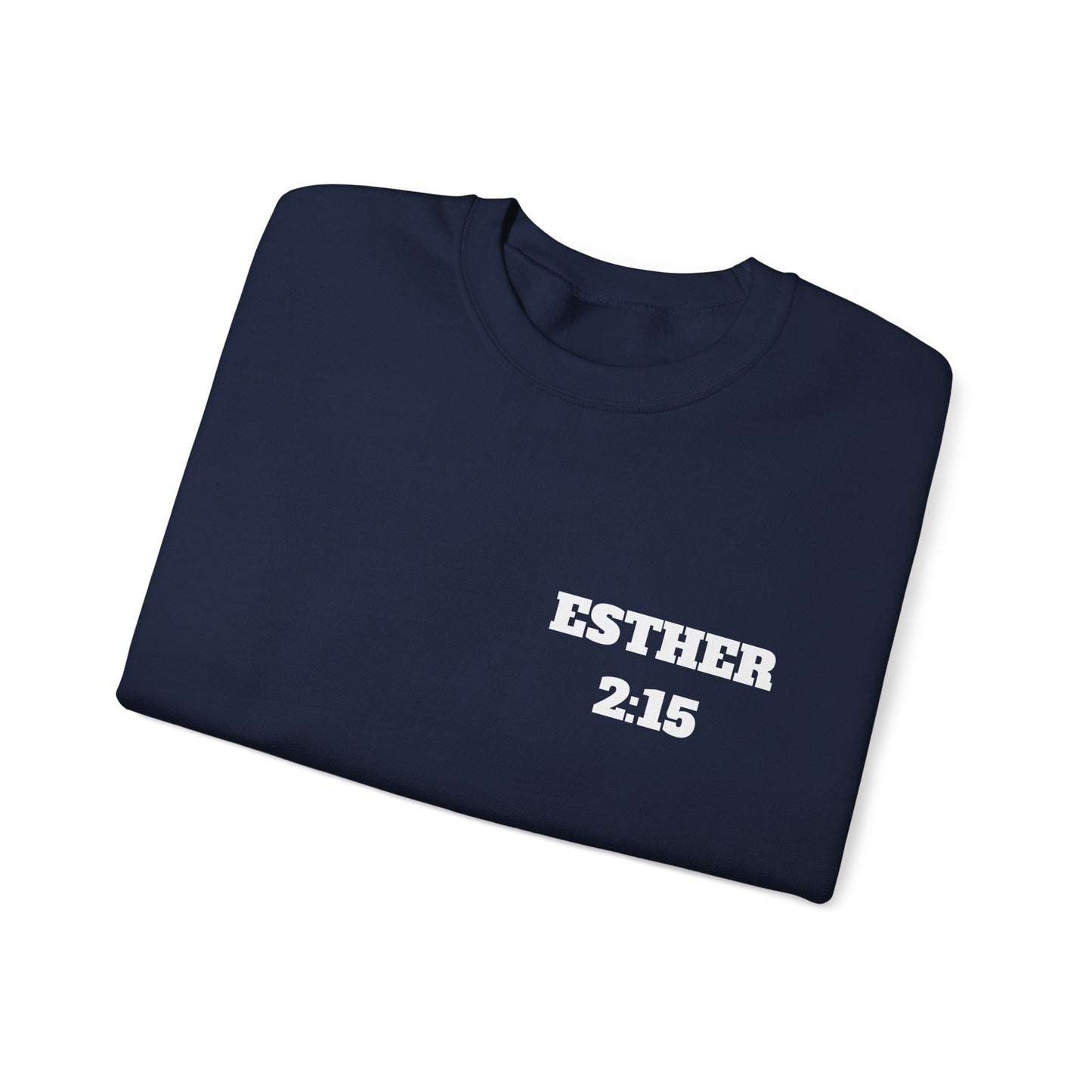 Esther 2:15 Christian Sweatshirt, Christian Gifts, Christian Back To School Gifts, Church Outfits