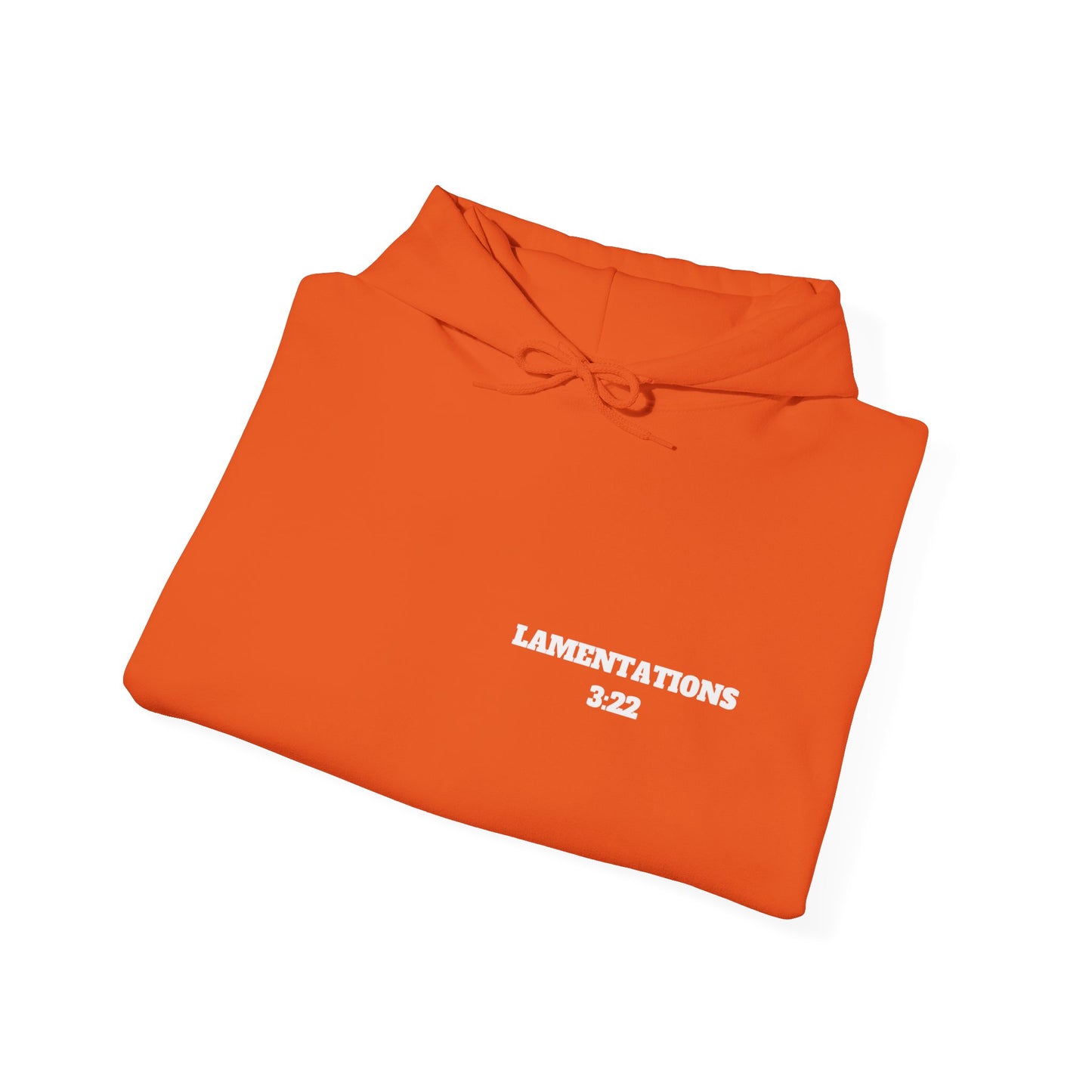 Lamentations 3:22 Christian Hoodie, Christian Gifts, Christian Back To School Gifts, Trendy Christian Apparel