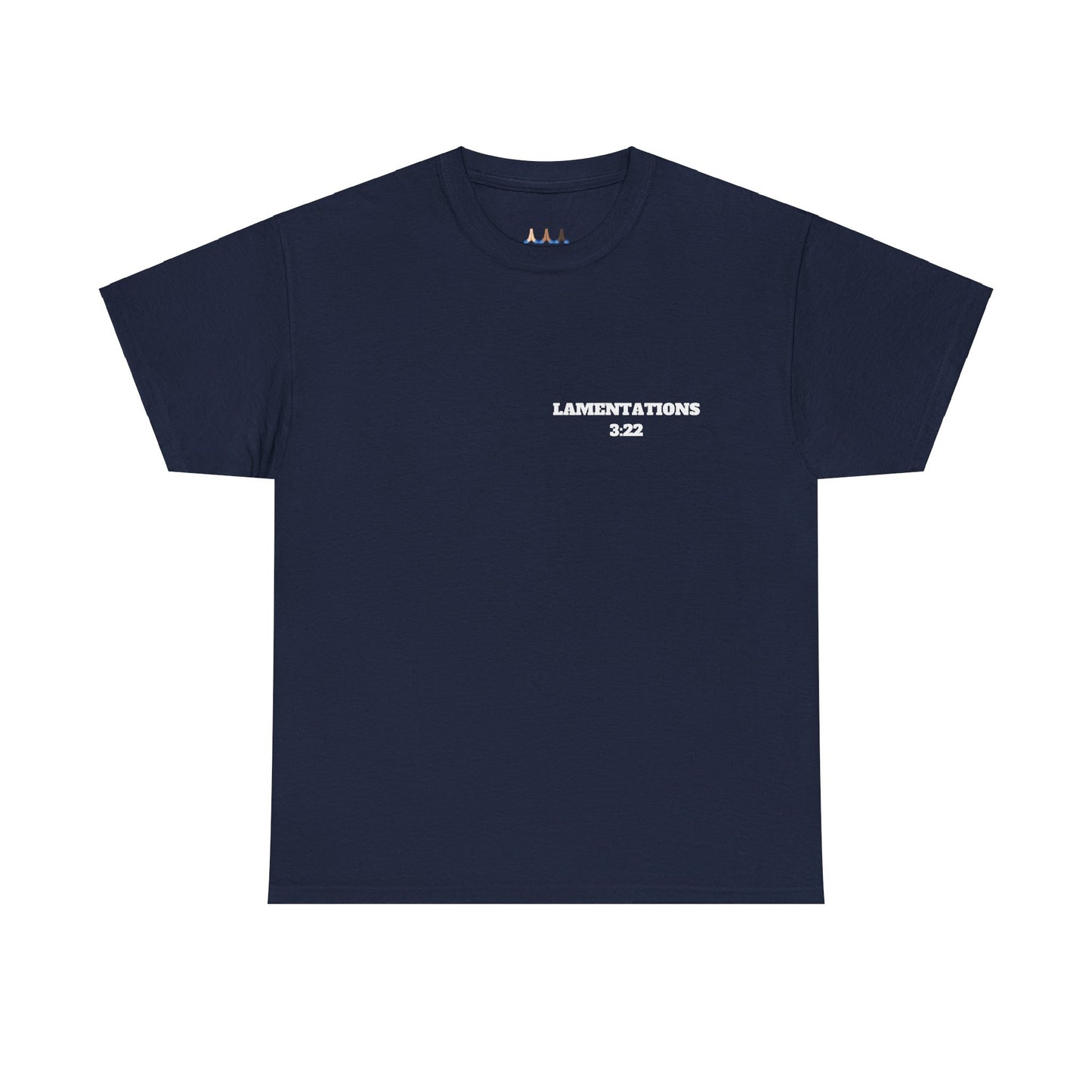 Lamentations 3:22 Christian T-Shirt, Christian Gifts, Christian Back To School Gifts, Trendy Christian Apparel