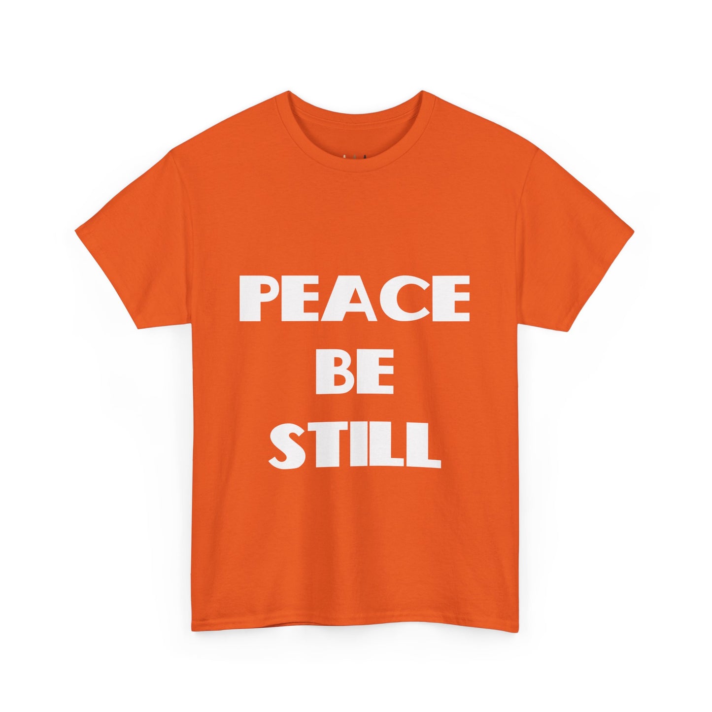 Peace Be Still Christian T-Shirt, Christian Gifts, Christian Back To School Gifts, Trendy Christian Apparel