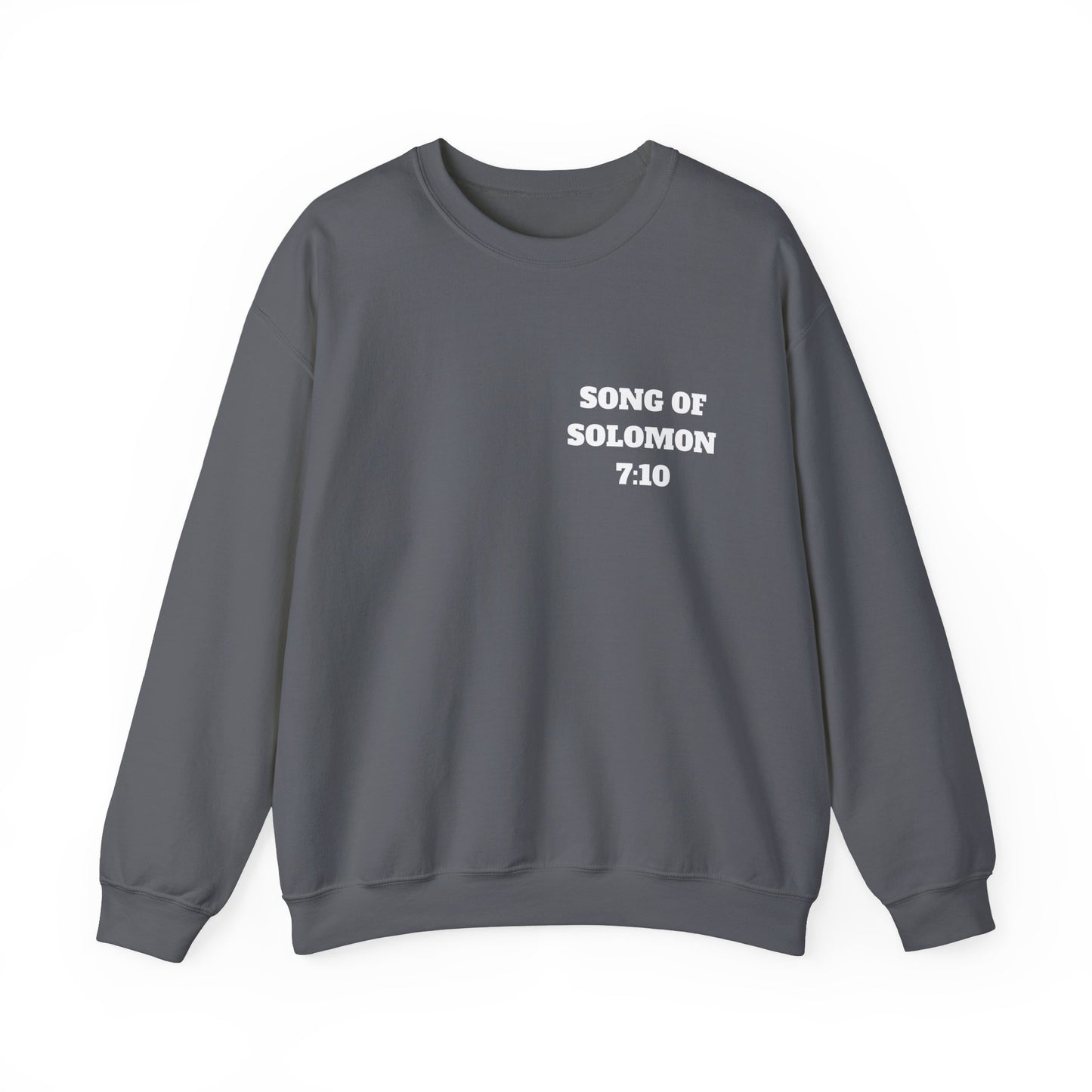 Song Of Solomon Christian Sweatshirt, Christian Gifts, Christian Back To School Gifts, Church Outfits