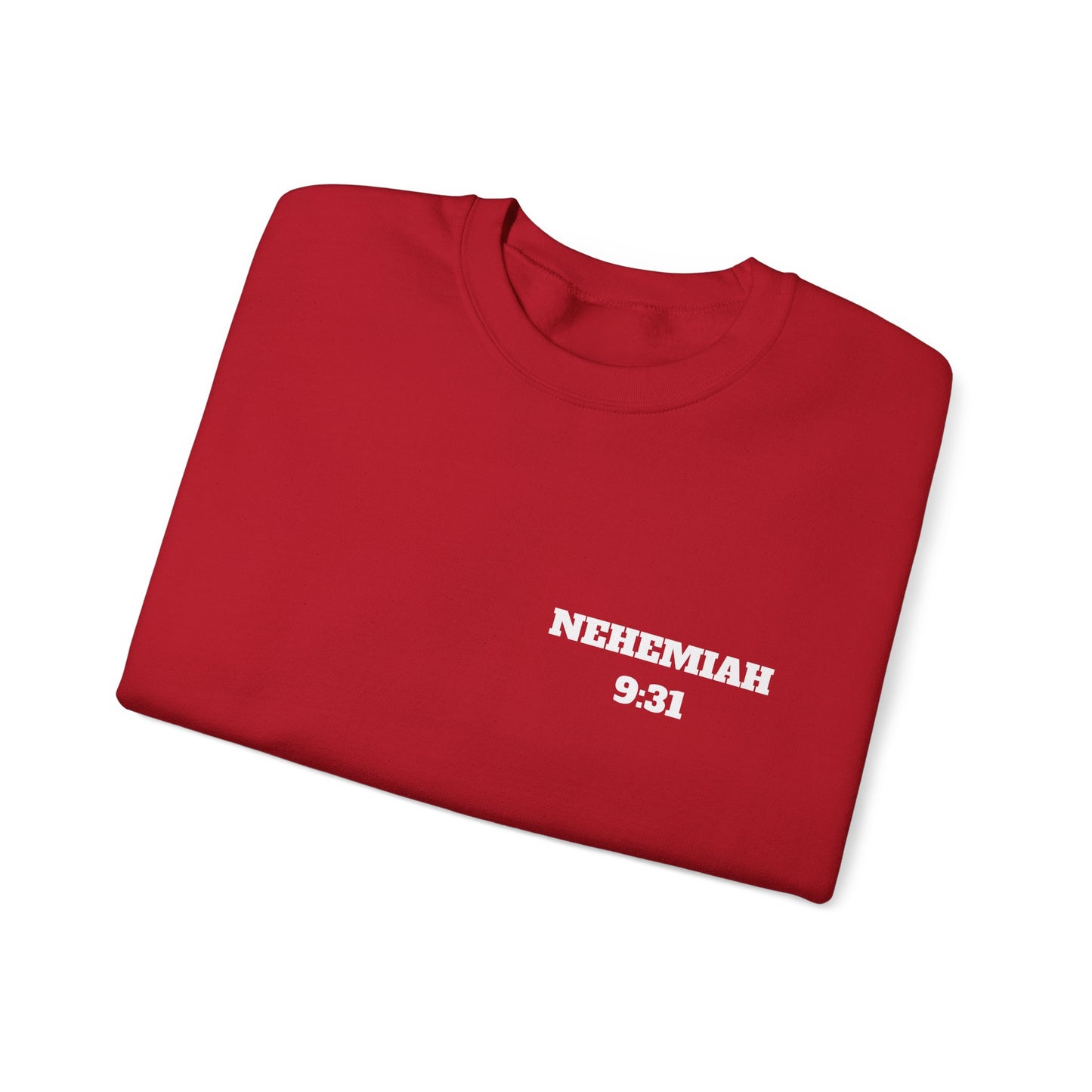 Nehemiah 9:31 Christian Sweatshirt, Christian Gifts, Christian Back To School Gifts, Church Outfits