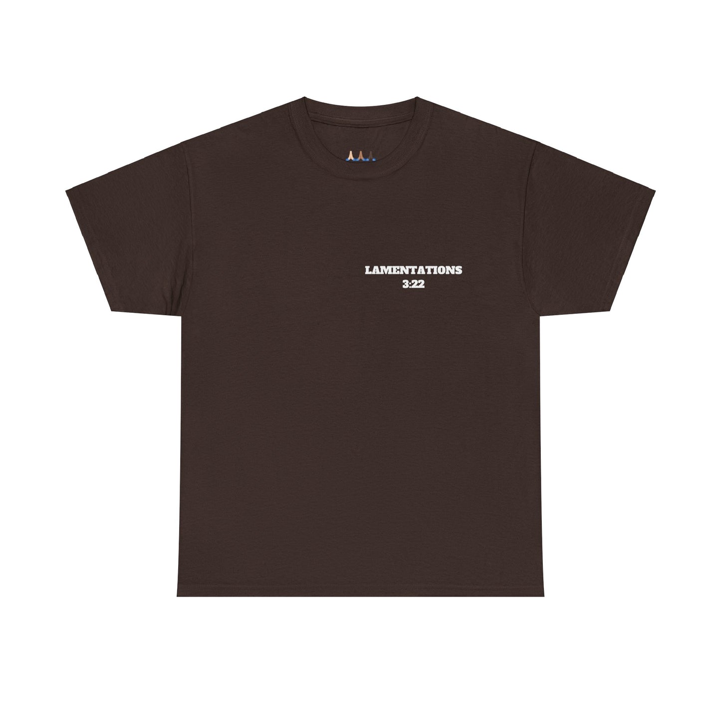 Lamentations 3:22 Christian T-Shirt, Christian Gifts, Christian Back To School Gifts, Trendy Christian Apparel