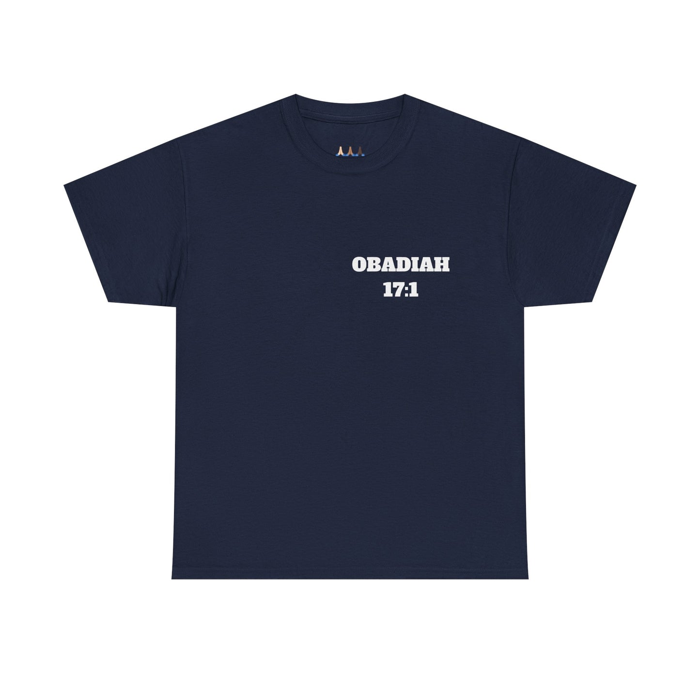 Obadiah 17:1 Christian T-Shirt, Christian Gifts, Christian Back To School Gifts, Trendy Christian Apparel