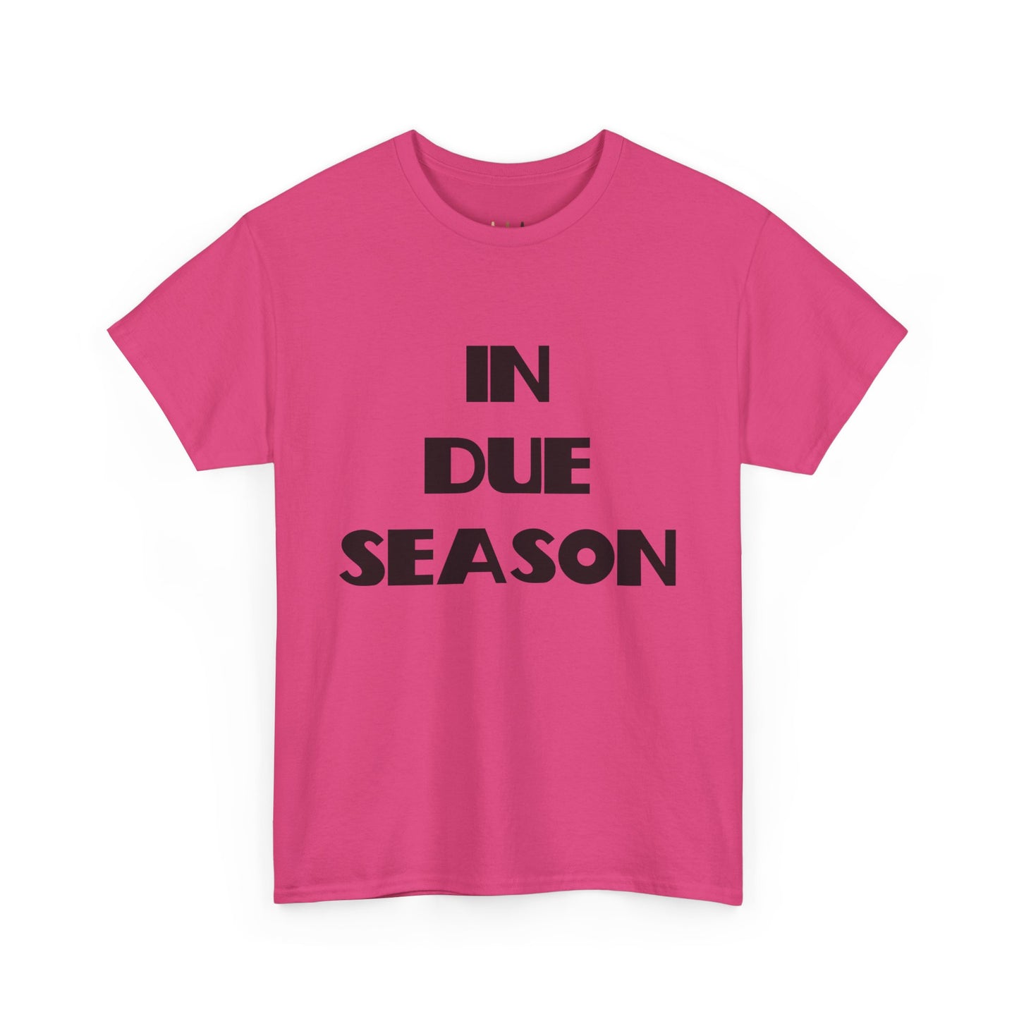 In Due Season Christian T-Shirt, Christian Quotes, Christian Gifts, Christian Back To School Clothes, Church Outfits