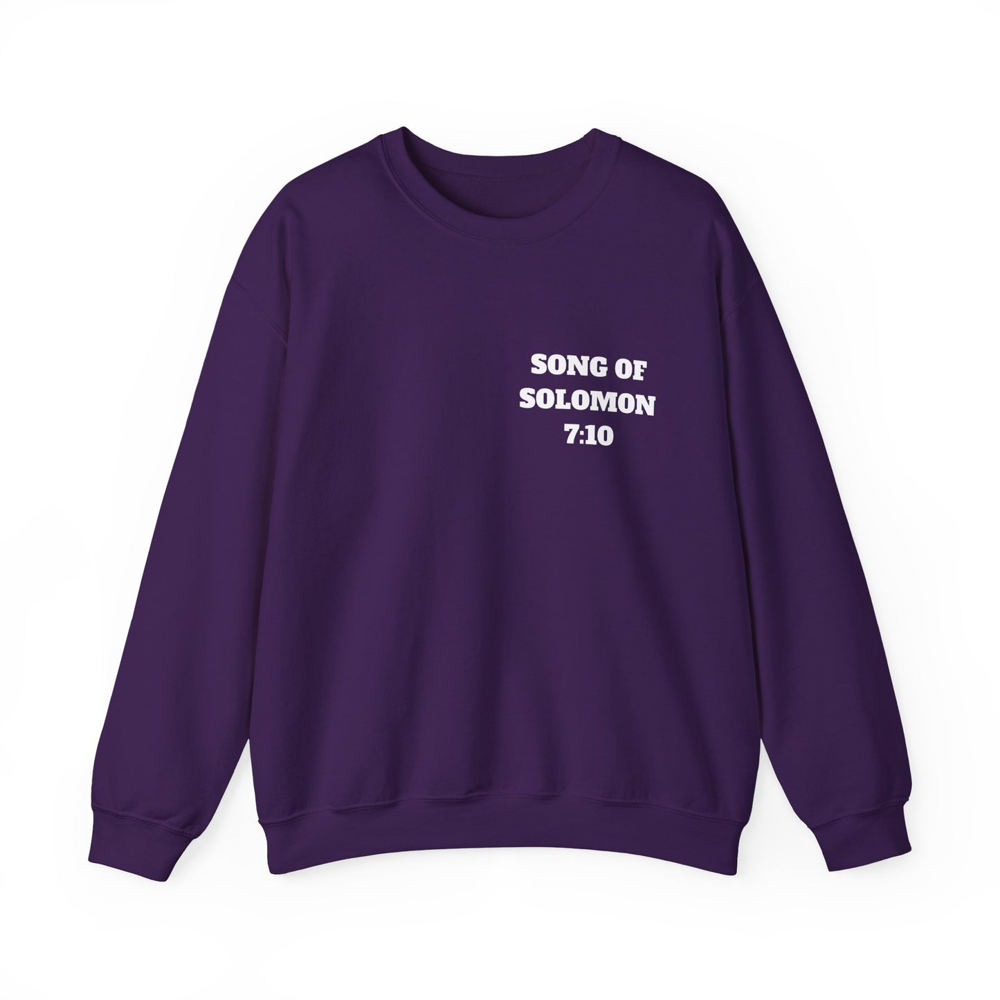 Song Of Solomon Christian Sweatshirt, Christian Gifts, Christian Back To School Gifts, Church Outfits