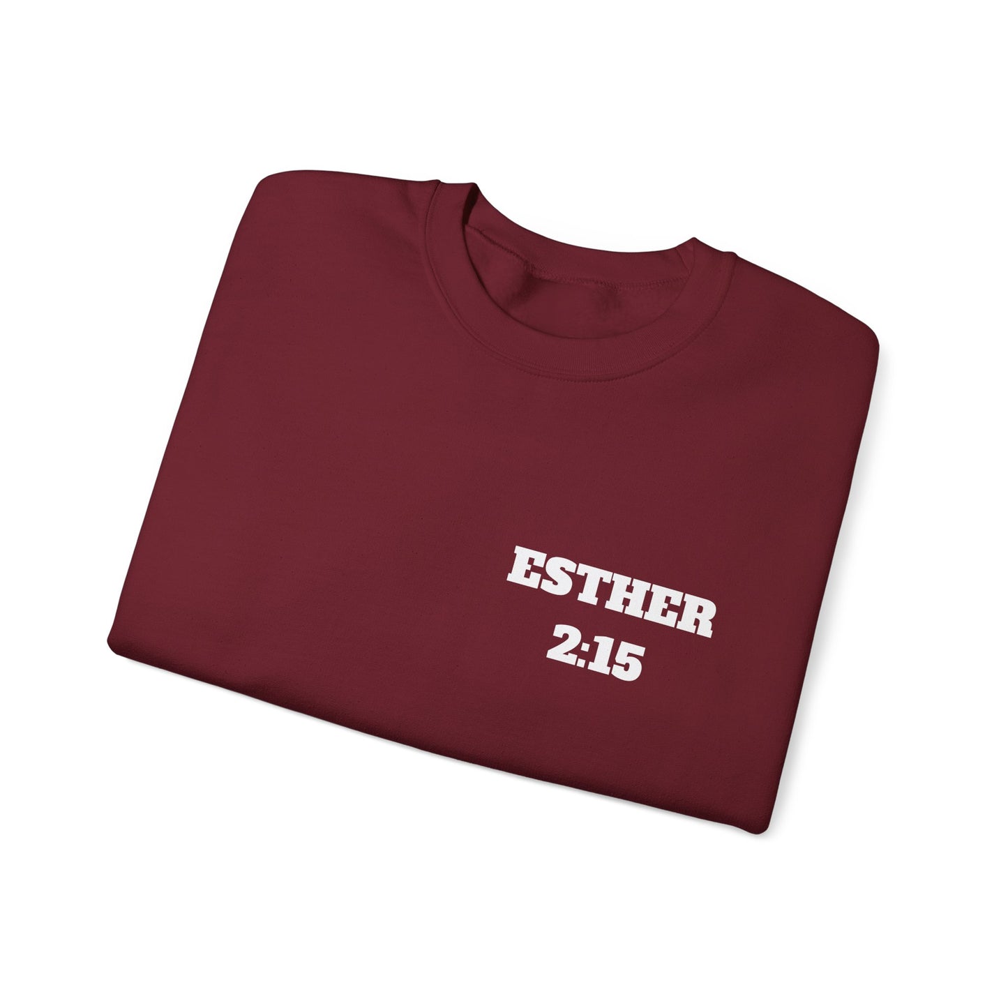 Esther 2:15 Christian Sweatshirt, Christian Gifts, Christian Back To School Gifts, Church Outfits