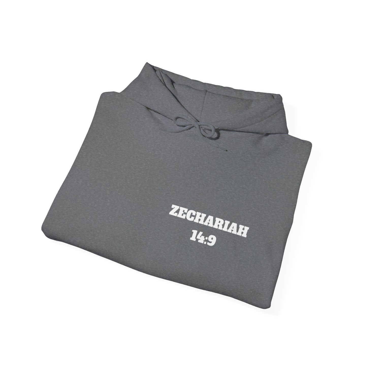 Zechariah 14:9 Christian Hoodie, Christian Gifts, Christian Back To School Gifts, Trendy Christian Apparel