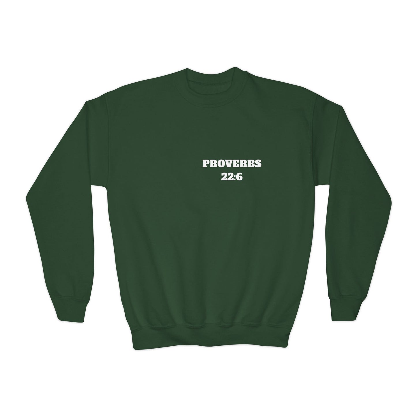 Proverbs 22:6 - Christian Kids Clothing, Kids Christian Shirt, Christian Sweatshirt, Christian Hoodie, Kids Church Shirts, Kids Bible Shirts