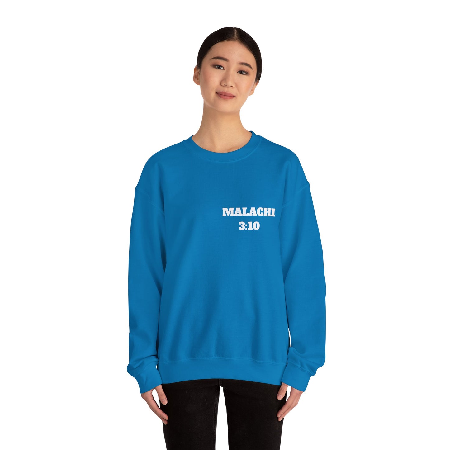 Malachi 3:10 Christian Sweatshirt, Christian Gifts, Christian Back To School Gifts, Church Outfits