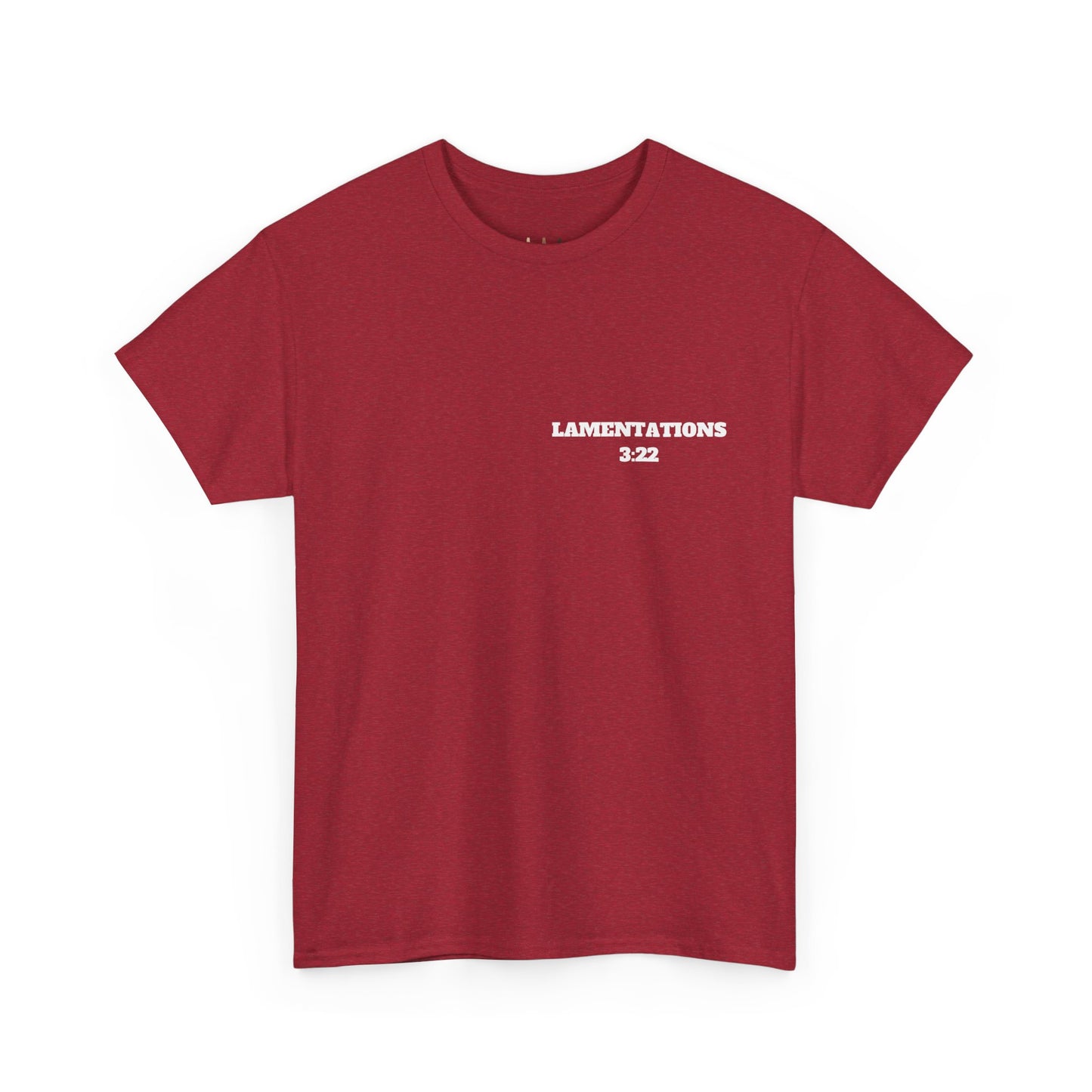 Lamentations 3:22 Christian T-Shirt, Christian Gifts, Christian Back To School Gifts, Trendy Christian Apparel