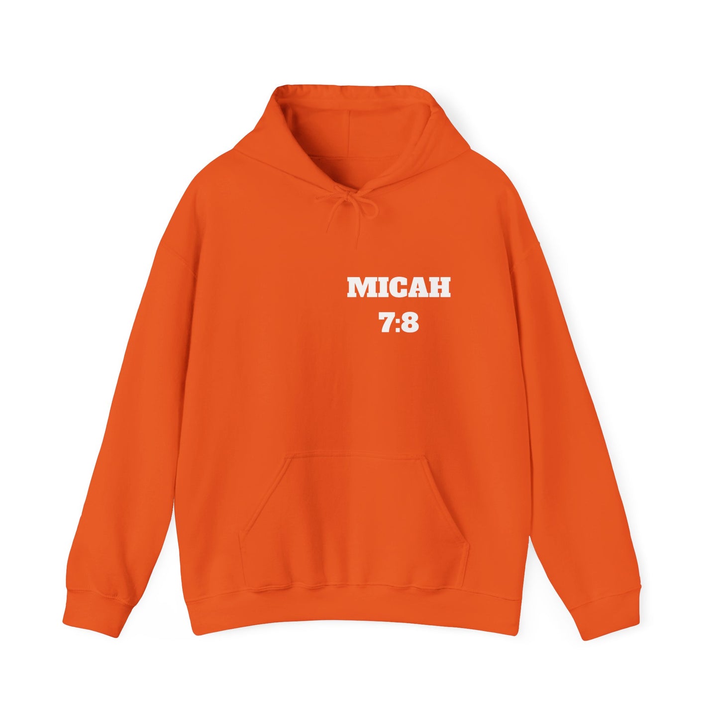 Micah 7:8 Christian Hoodie, Christian Gifts, Christian Back To School Gifts, Trendy Christian Apparel