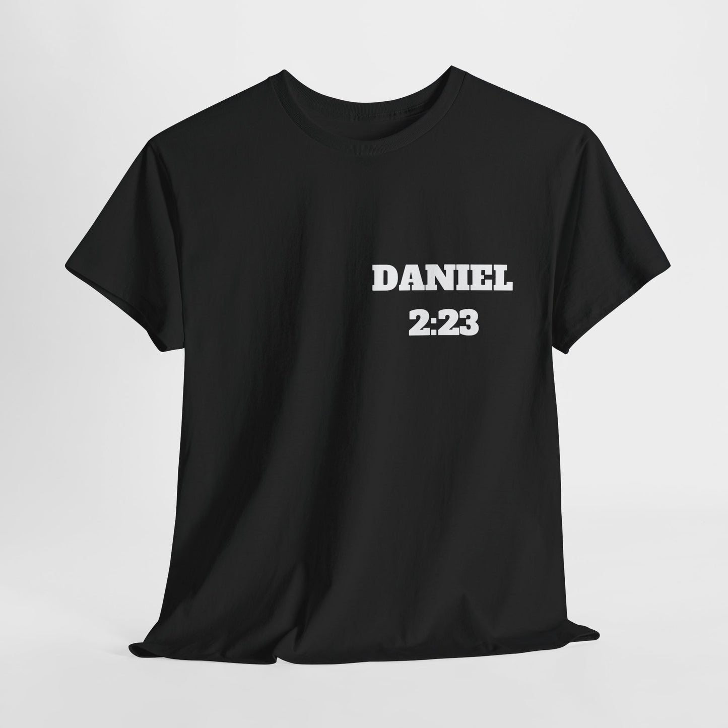 Daniel 2:23 Christian T-Shirt, Christian Gifts, Christian Back To School Gifts, Trendy Christian Apparel