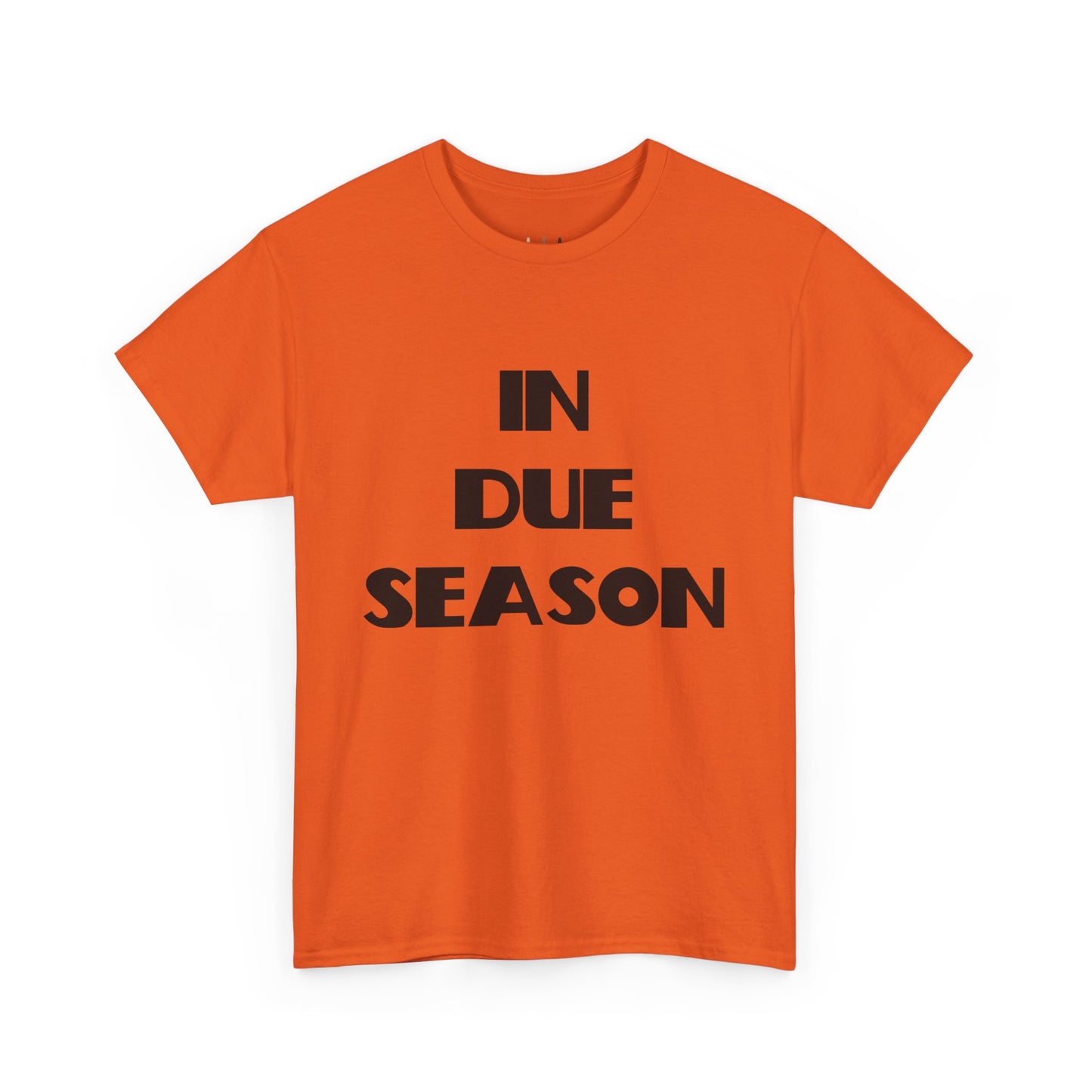 In Due Season Christian T-Shirt, Christian Quotes, Christian Gifts, Christian Back To School Clothes, Church Outfits