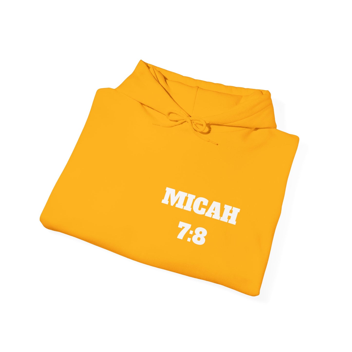 Micah 7:8 Christian Hoodie, Christian Gifts, Christian Back To School Gifts, Trendy Christian Apparel