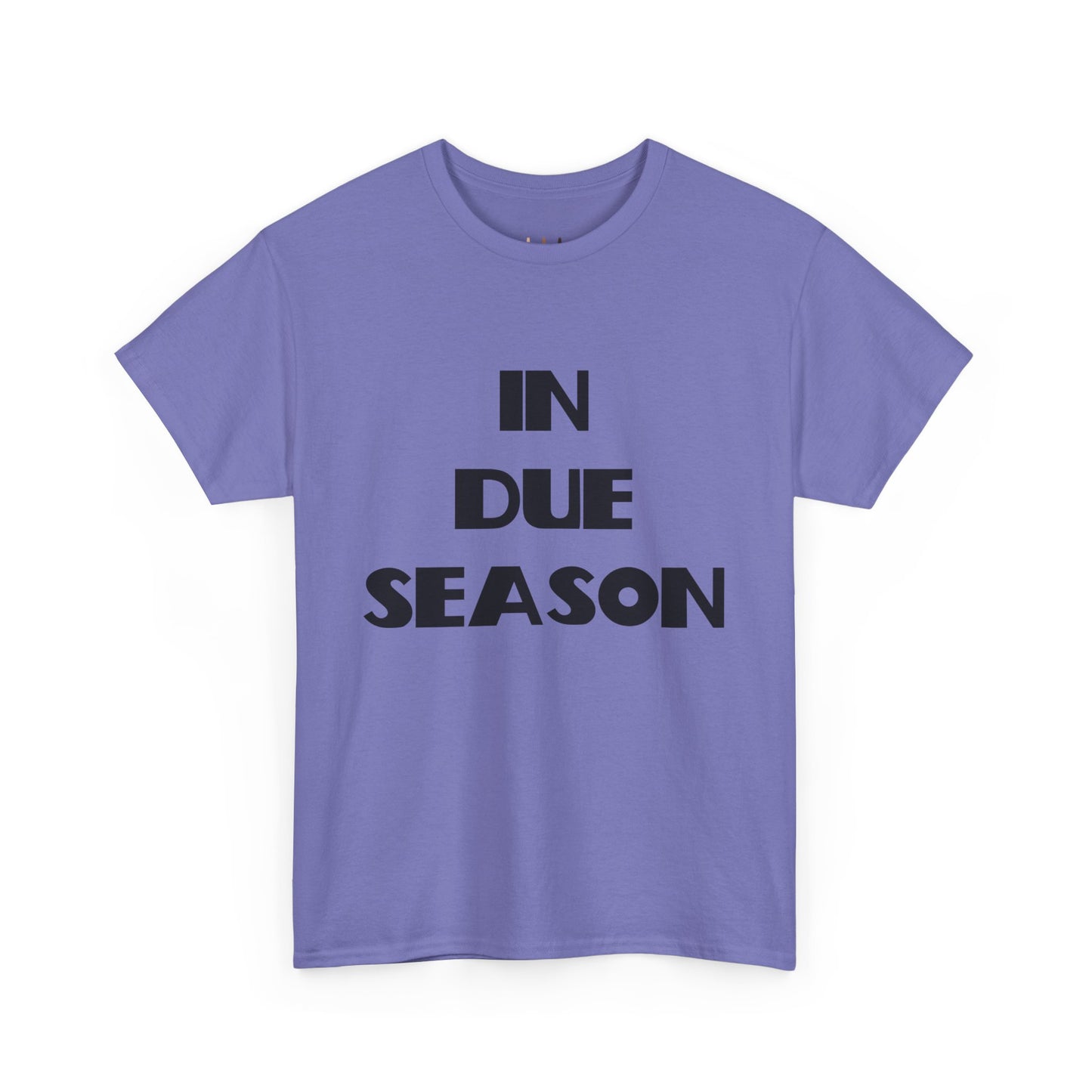 In Due Season Christian T-Shirt, Christian Quotes, Christian Gifts, Christian Back To School Clothes, Church Outfits