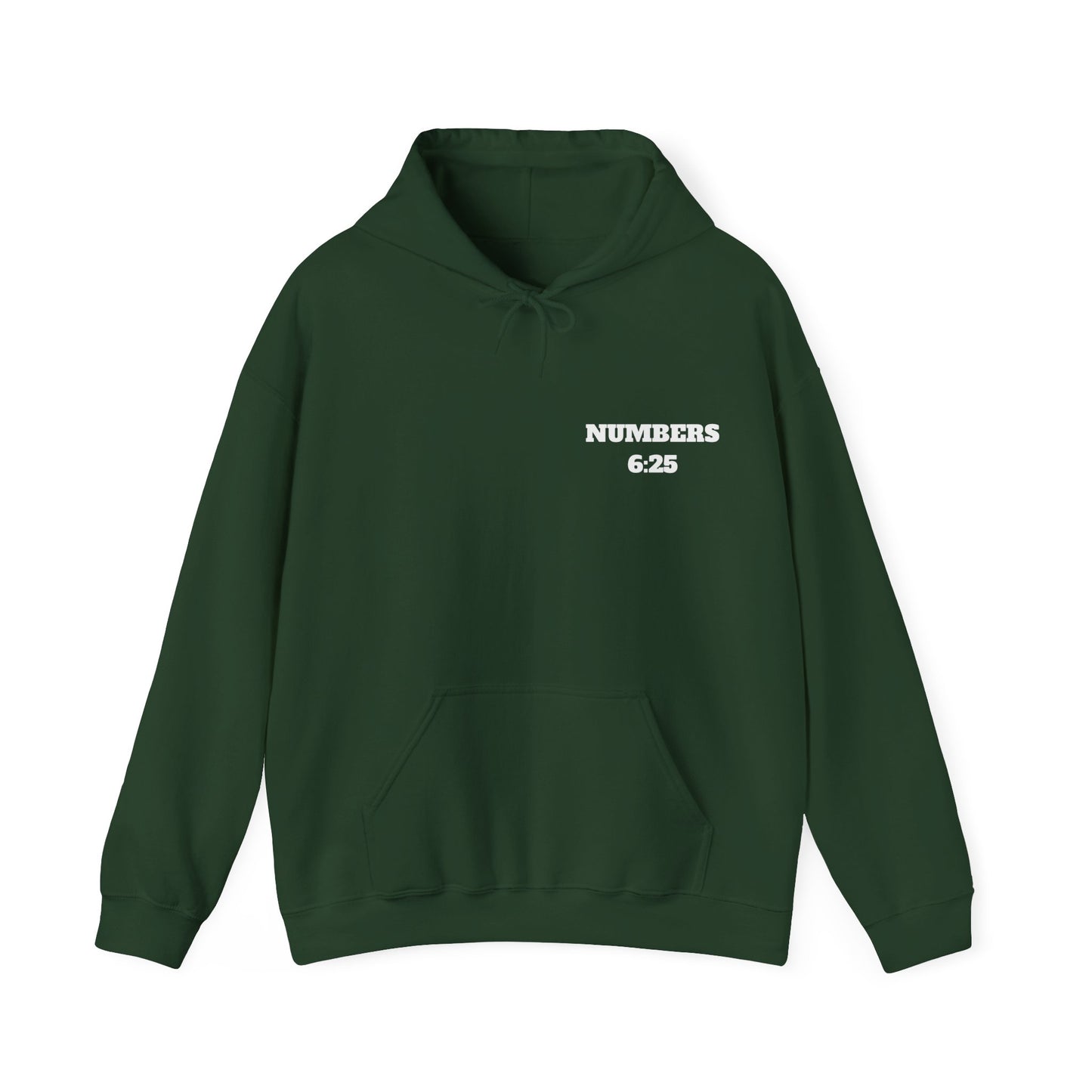 Numbers 6:25 Christian Hoodie, Christian Gifts, Christian Back To School Gifts, Trendy Christian Apparel