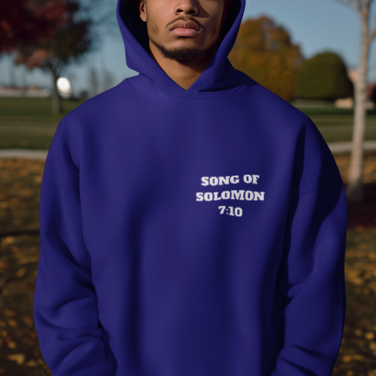 Song of Solomon Christian Hooded Sweatshirt - Unisex Heavy Blend™ - Faith & Comfort