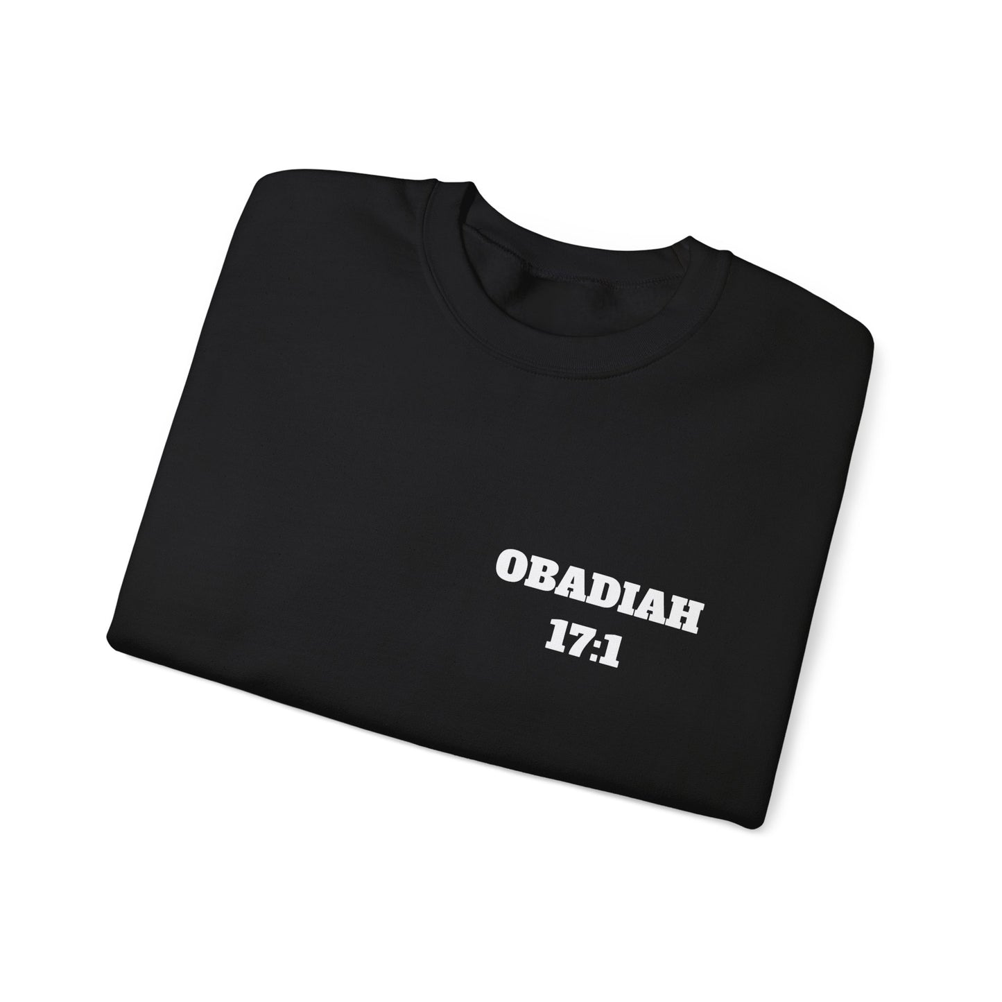Obadiah 17:1 Christian Sweatshirt, Christian Gifts, Christian Back To School Gifts, Church Outfits
