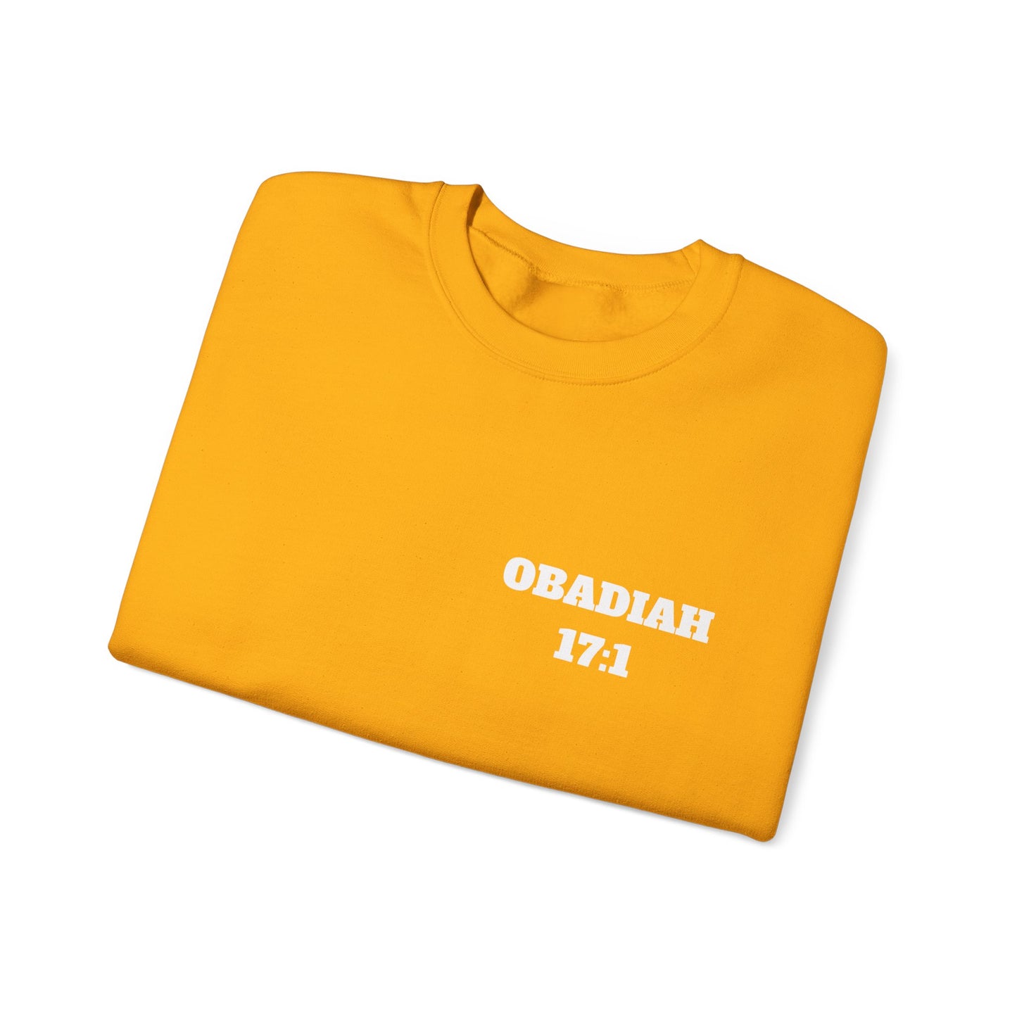 Obadiah 17:1 Christian Sweatshirt, Christian Gifts, Christian Back To School Gifts, Church Outfits