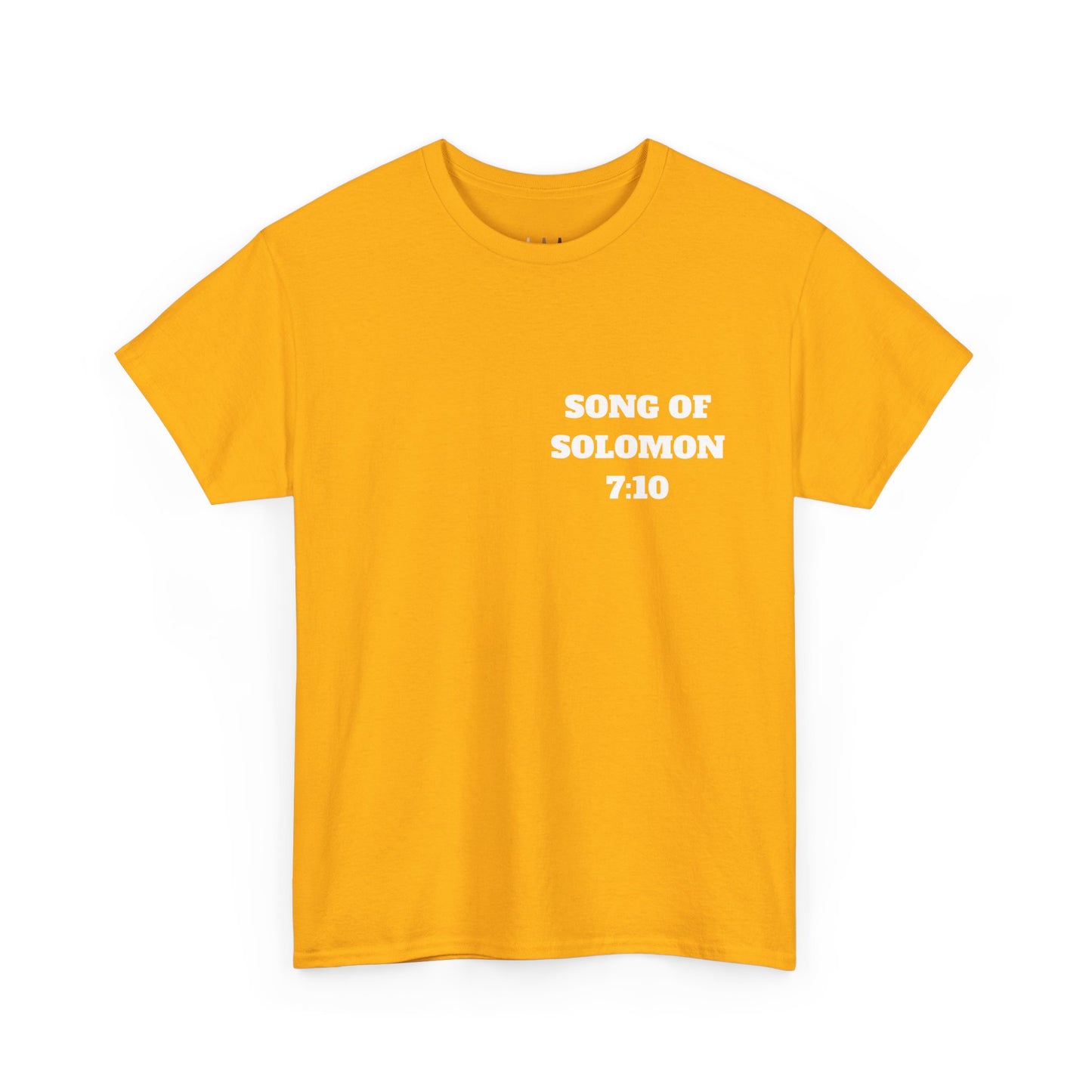 Song of Solomon Christian T-Shirt, Christian Gifts, Christian Back To School Gifts, Trendy Christian Apparel