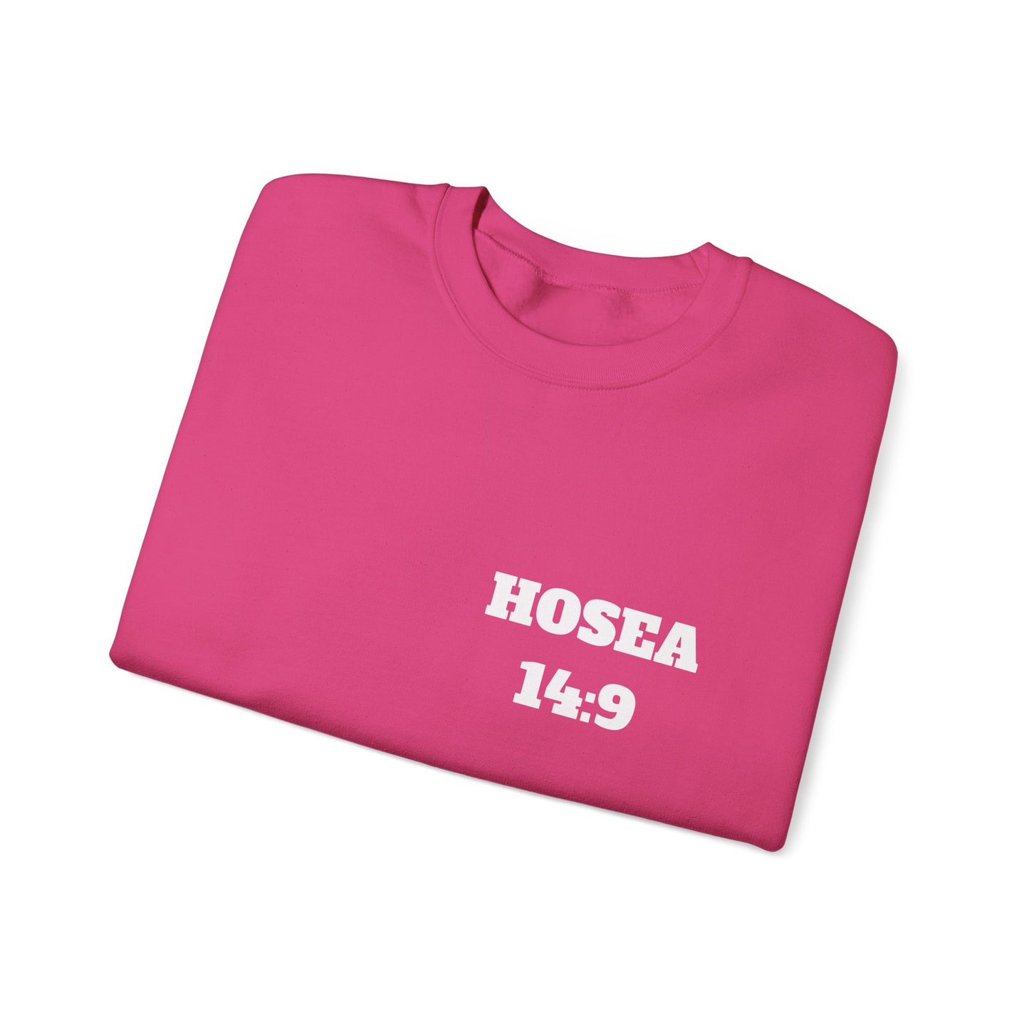 Hosea 14:9 Christian Sweatshirt, Christian Gifts, Christian Back To School Gifts, Church Outfits