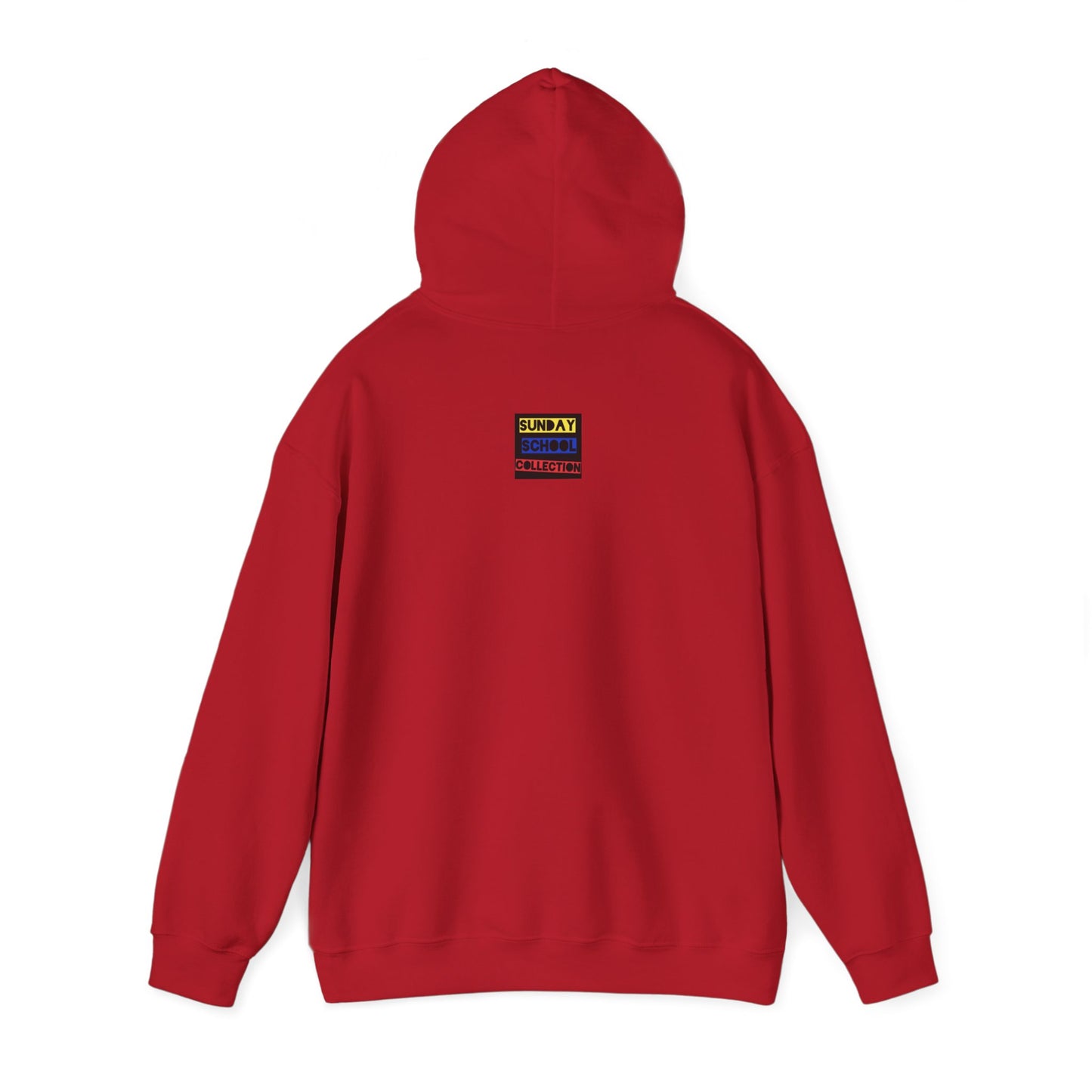 1 Samuel 17:47 Christian Hoodie, Christian Gifts, Christian Back To School Gifts, Trendy Christian Apparel