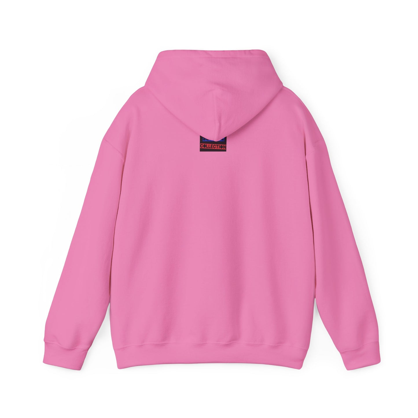 Zechariah 14:9 Christian Hoodie, Christian Gifts, Christian Back To School Gifts, Trendy Christian Apparel