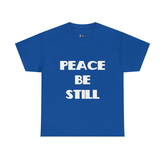Peace Be Still Christian T-Shirt, Christian Gifts, Christian Back To School Gifts, Trendy Christian Apparel