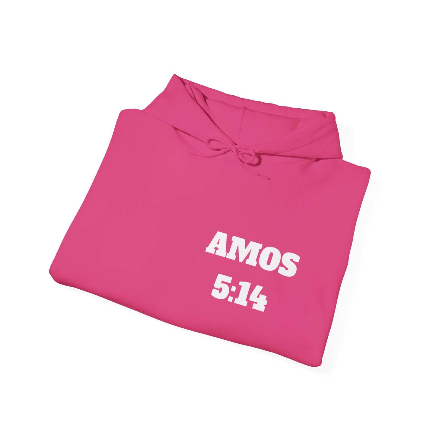 Amos 5:14 Christian T-Shirt, Christian Gifts, Christian Back To School Gifts, Trendy Christian Apparel
