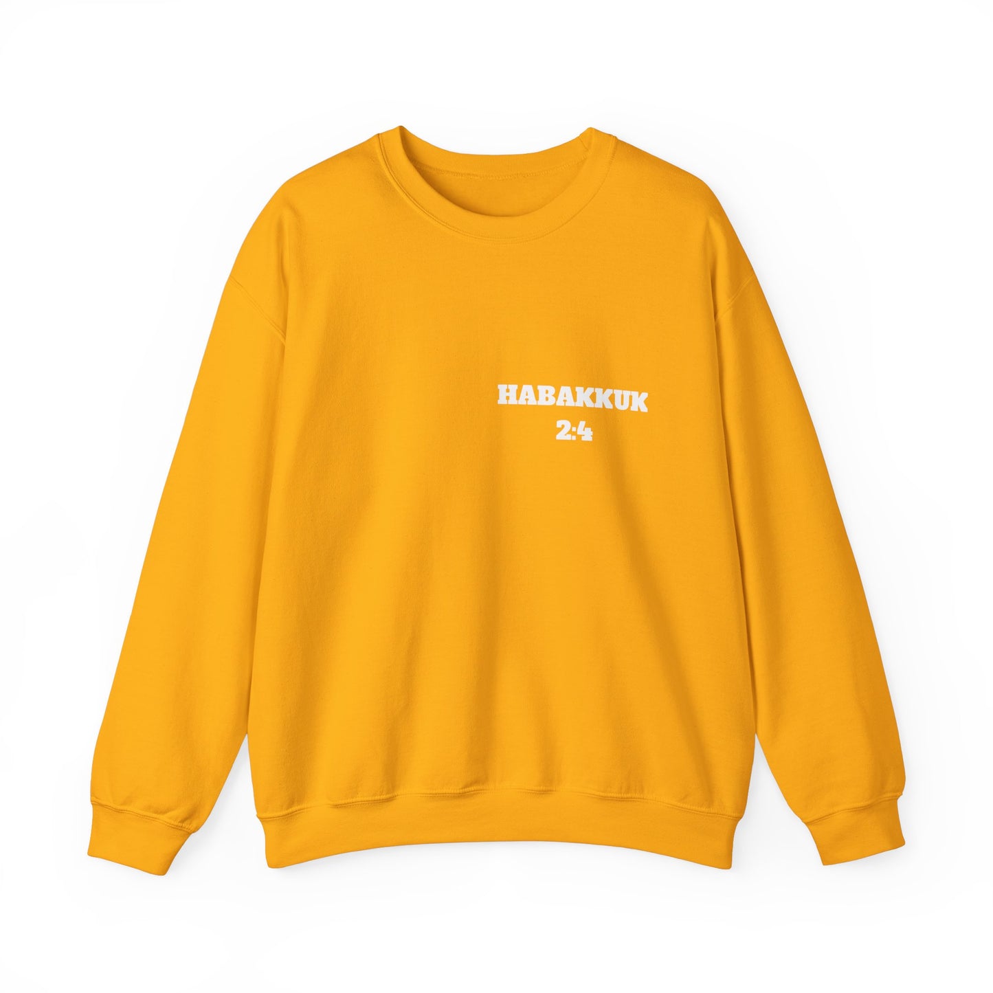 Habakkuk 2:4 Christian Sweatshirt, Christian Gifts, Christian Back To School Gifts, Church Outfits