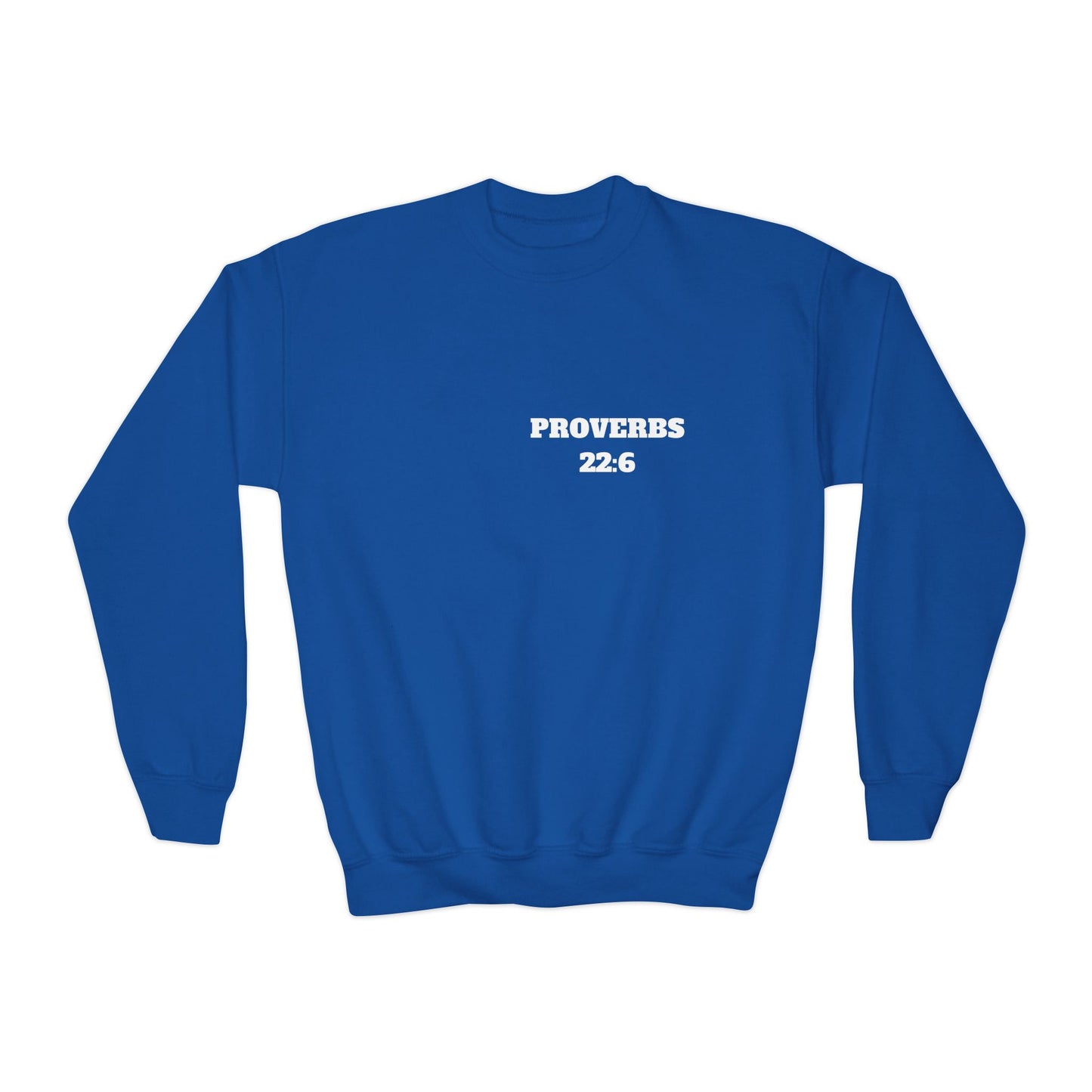 Proverbs 22:6 - Christian Kids Clothing, Kids Christian Shirt, Christian Sweatshirt, Christian Hoodie, Kids Church Shirts, Kids Bible Shirts