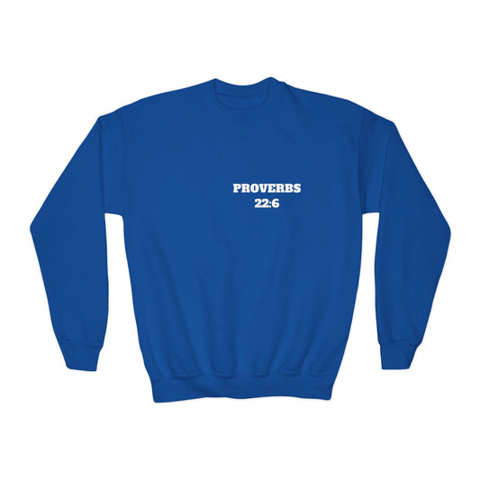 Proverbs 22:6 - Christian Kids Clothing, Kids Christian Shirt, Christian Sweatshirt, Christian Hoodie, Kids Church Shirts, Kids Bible Shirts
