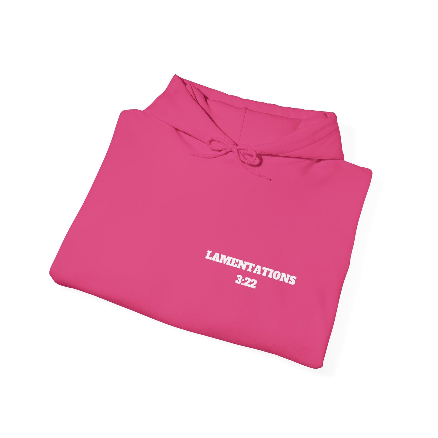 Lamentations 3:22 Christian Hoodie, Christian Gifts, Christian Back To School Gifts, Trendy Christian Apparel
