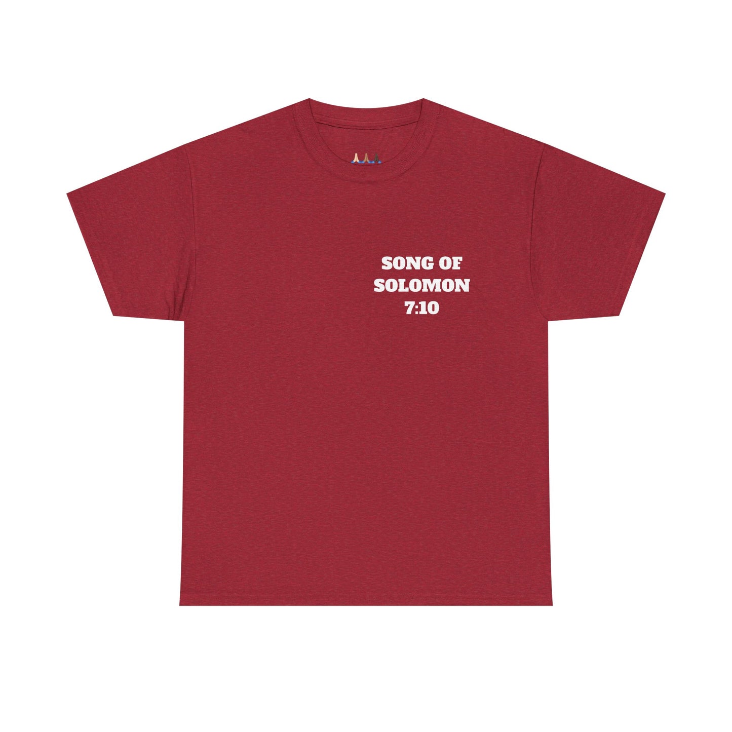 Song Of Solomon 7:10 Christian T-Shirt, Christian Gifts, Christian Back To School Gifts, Trendy Christian Apparel