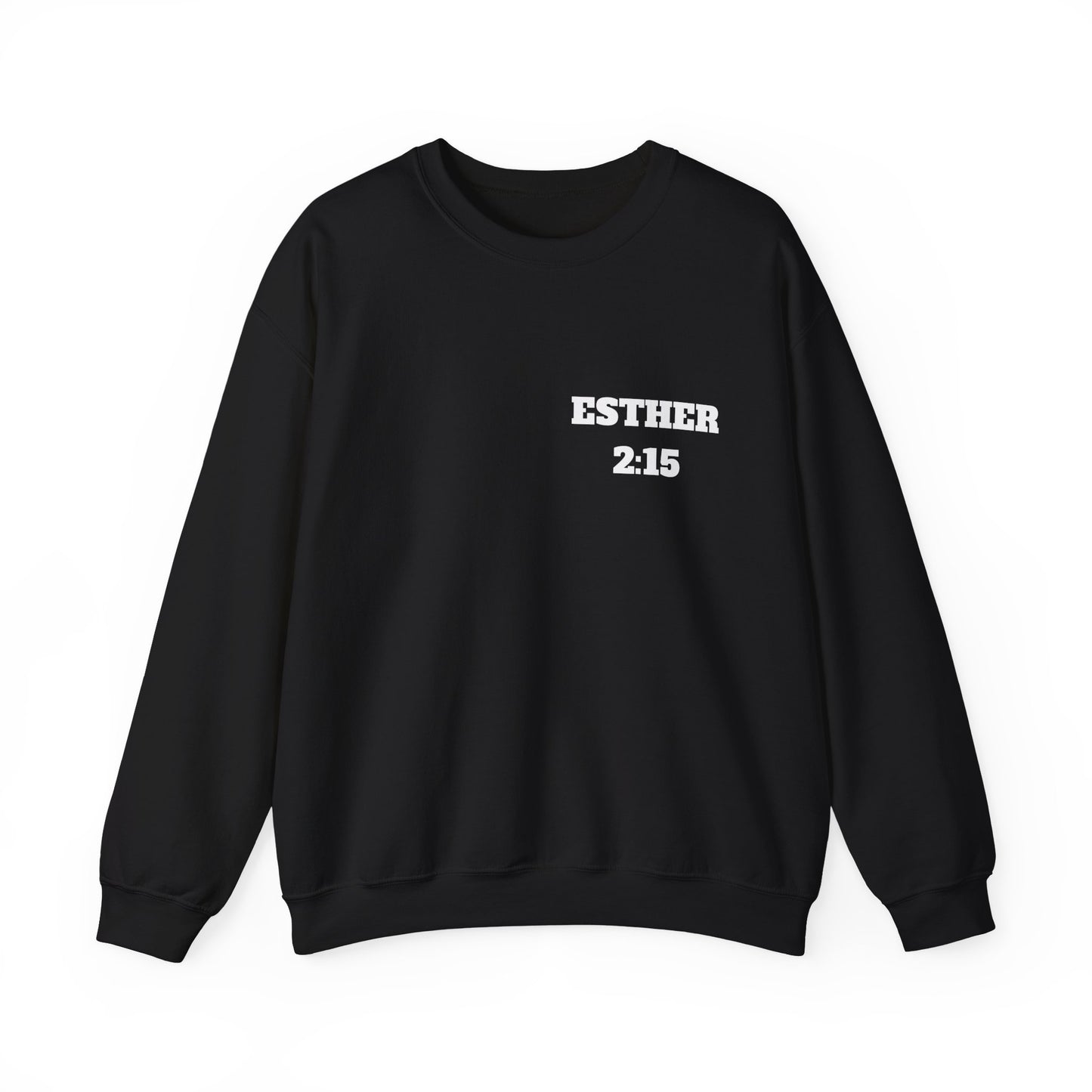 Esther 2:15 Christian Sweatshirt, Christian Gifts, Christian Back To School Gifts, Church Outfits