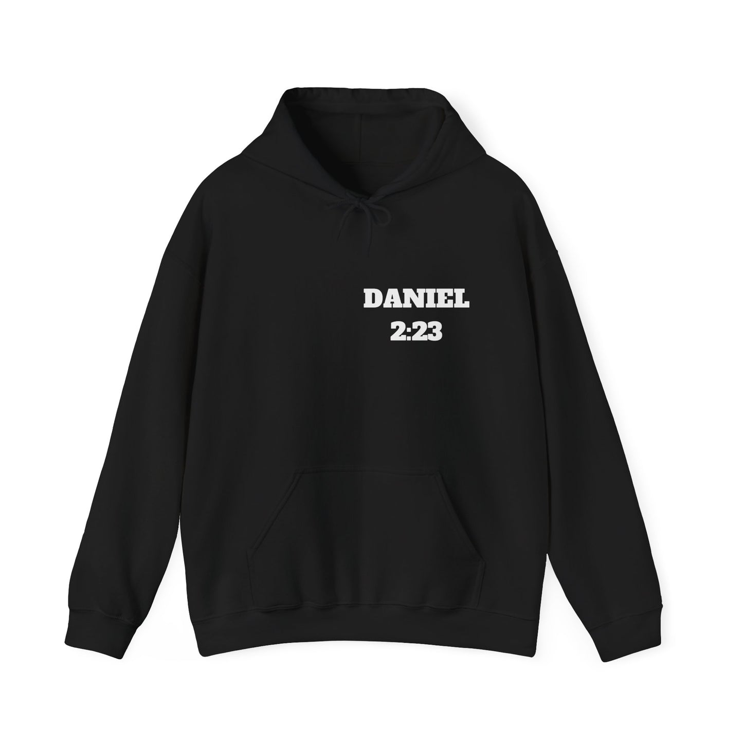 Daniel 2:23 Christian Hoodie, Christian Gifts, Christian Back To School Gifts, Trendy Christian Apparel