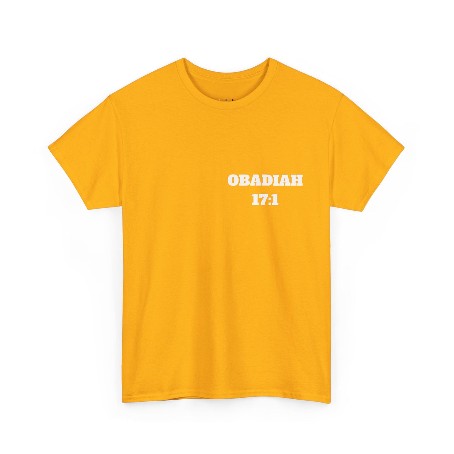 Obadiah 17:1 Christian T-Shirt, Christian Gifts, Christian Back To School Gifts, Trendy Christian Apparel